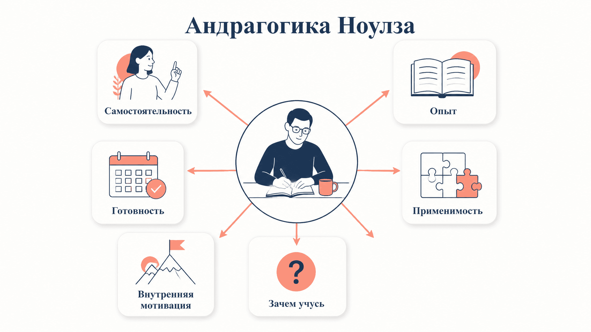Андрагогика Ноулза: 6 принципов обучения взрослых