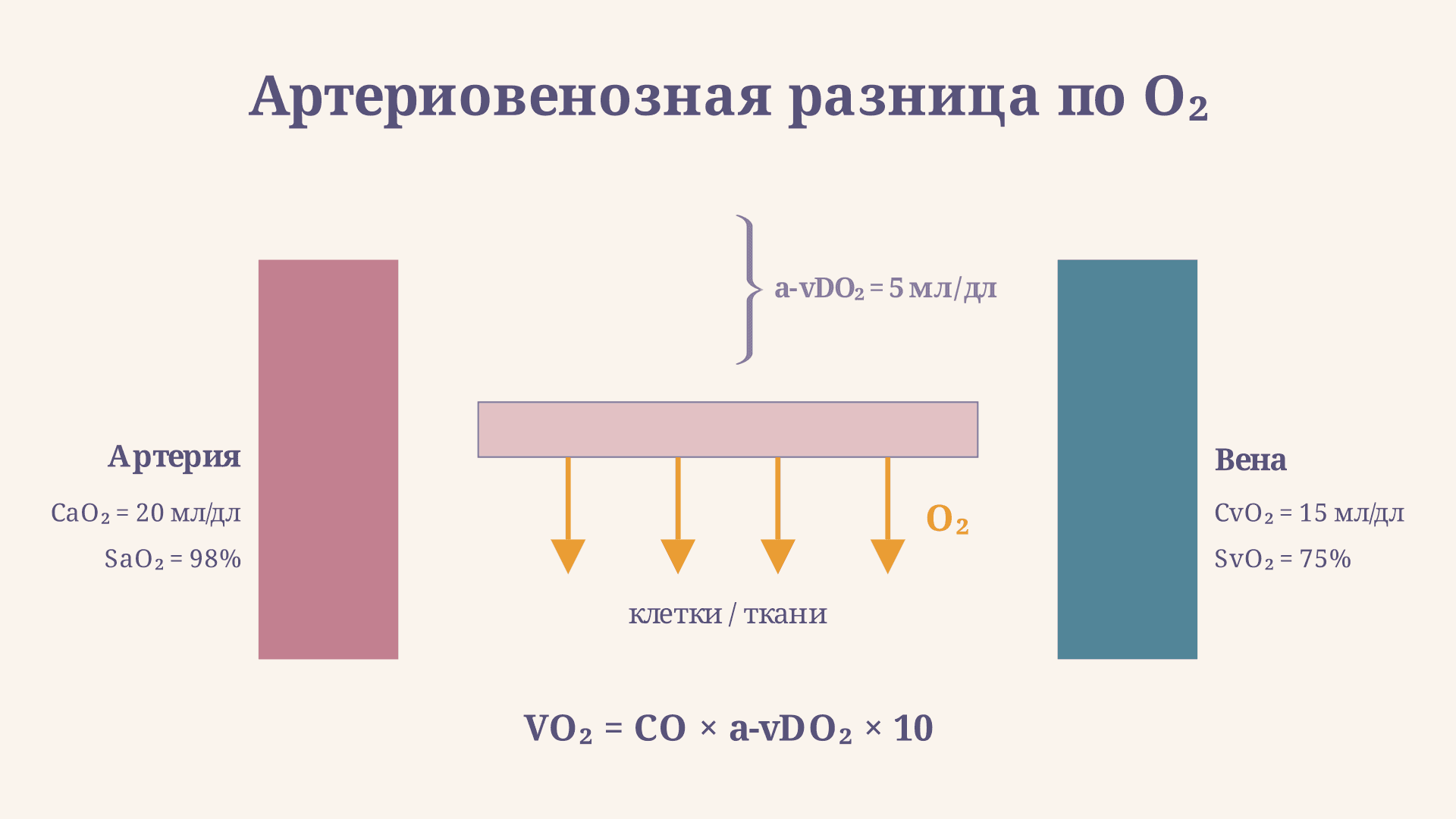 Артериовенозная разница по кислороду: формула