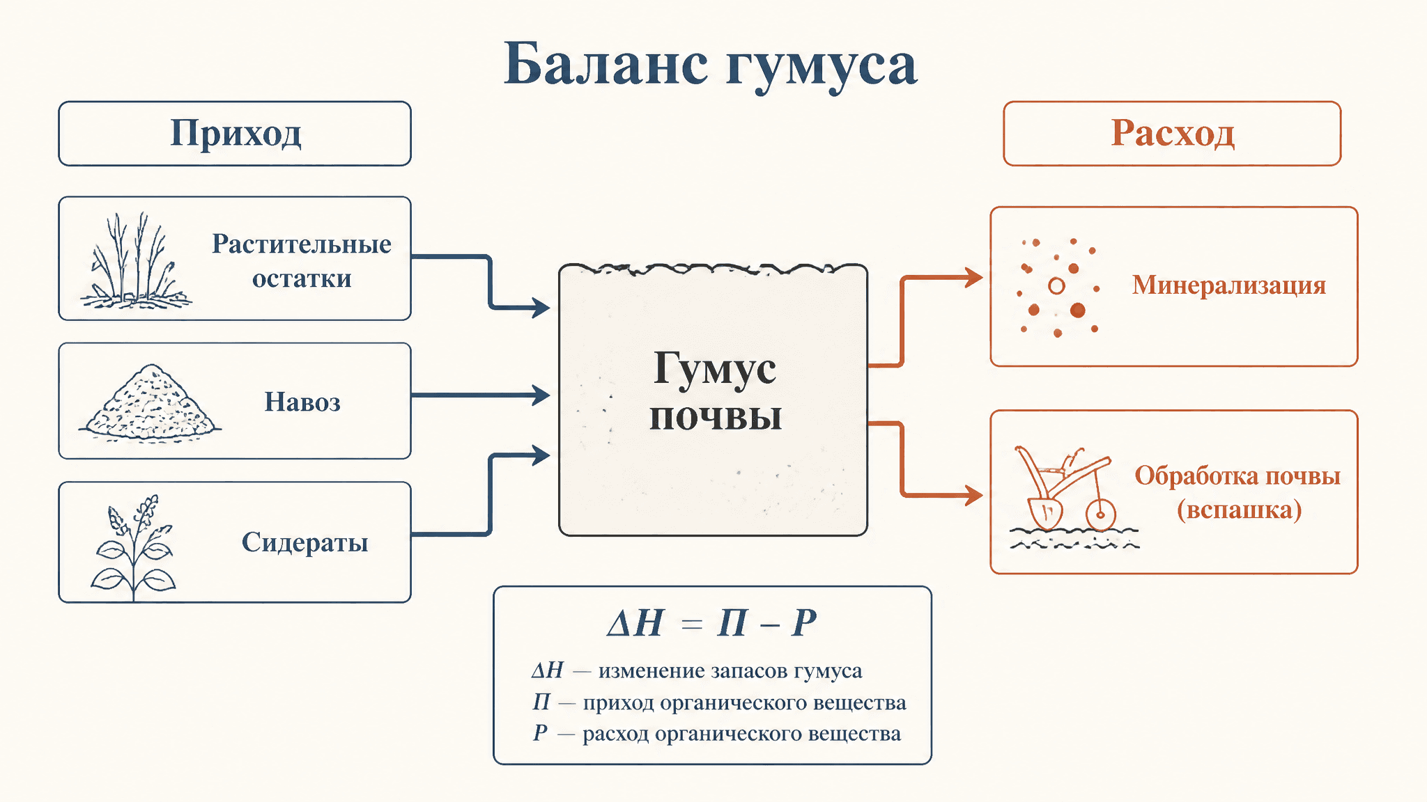Баланс гумуса в почве: расчёт, потери и восполнение