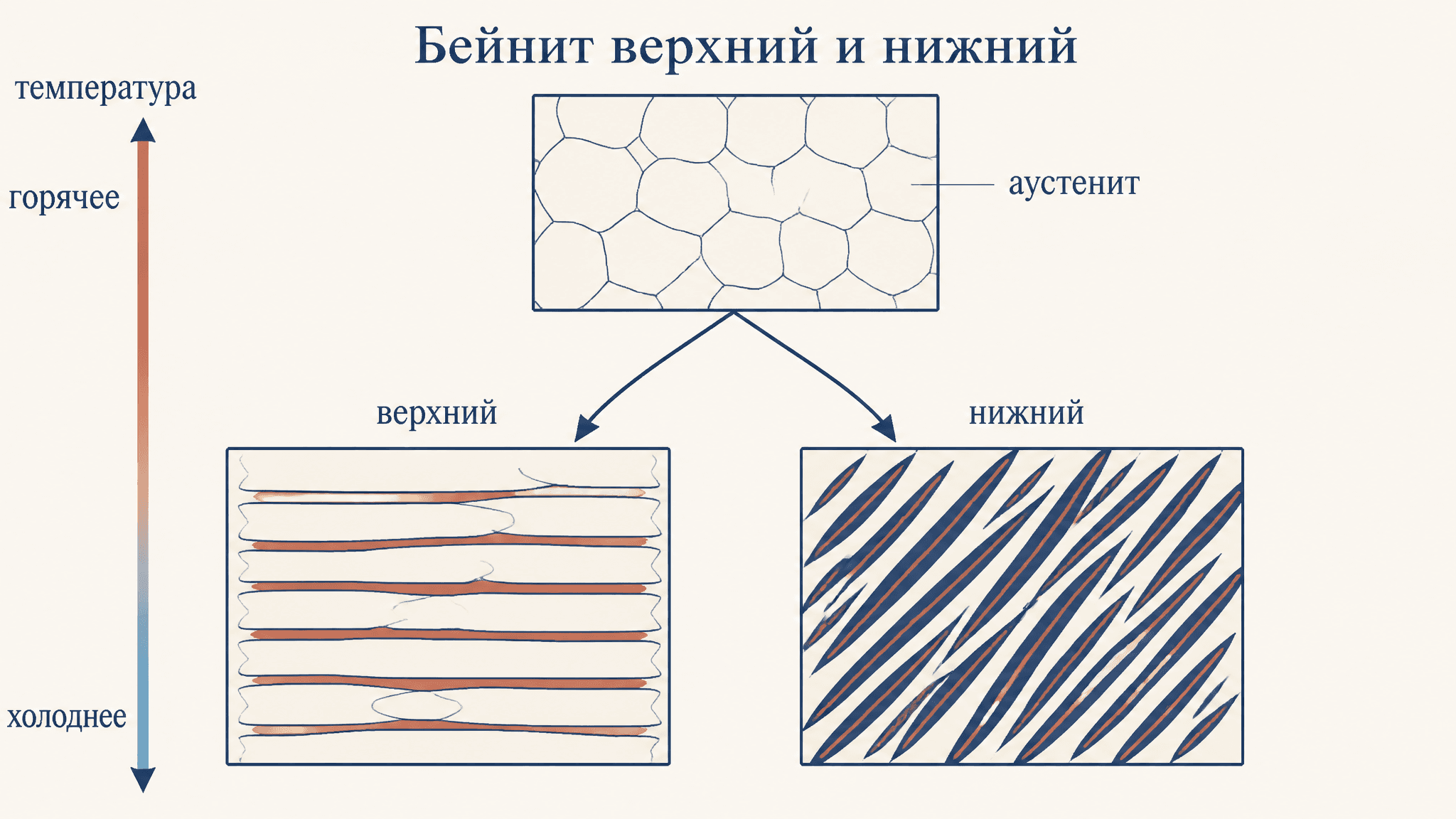 Бейнит верхний и нижний: чем отличаются эти структуры