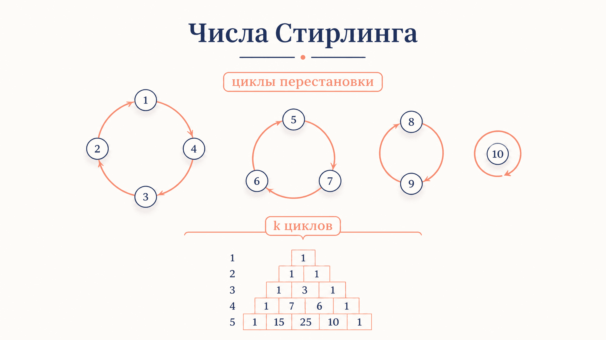 Числа Стирлинга первого рода: перестановки и циклы