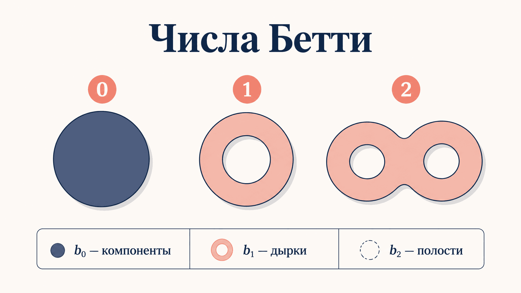 Число Бетти: как посчитать дырки в пространстве