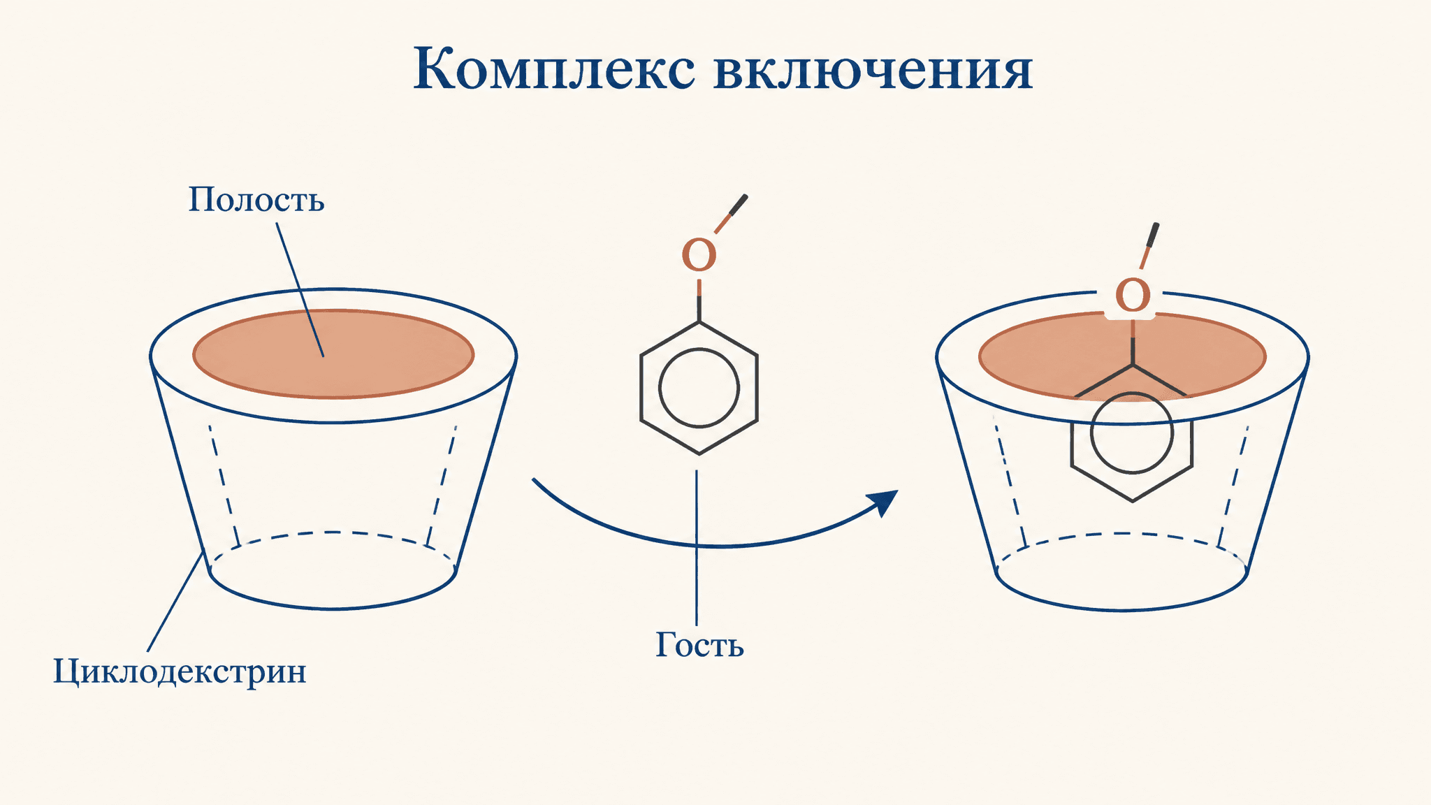 Циклодекстрины: комплексы включения и константа связывания