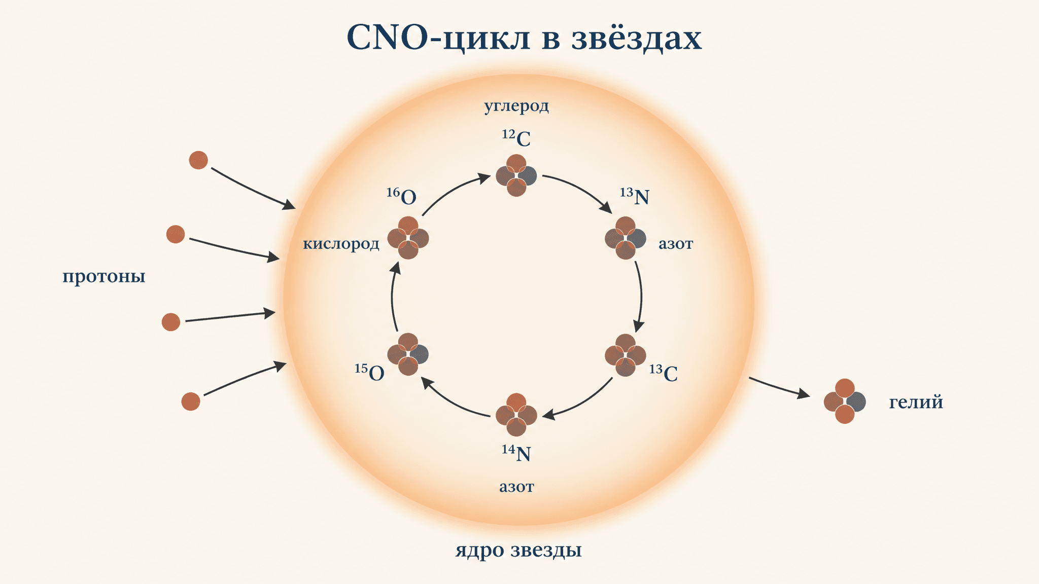 CNO-цикл в звёздах: как углерод и азот жгут водород