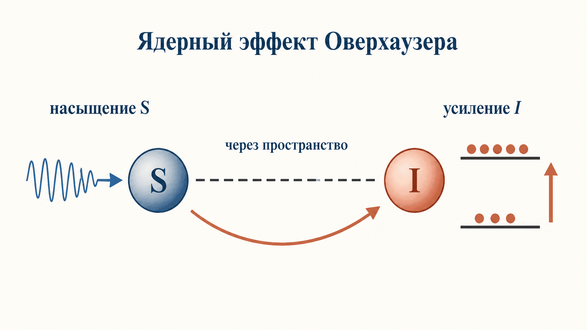 Эффект Оверхаузера ядерный: усиление сигнала ЯМР