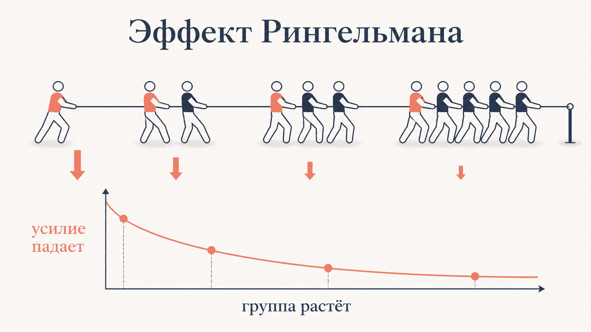 Эффект Рингельмана: почему группа работает хуже одного