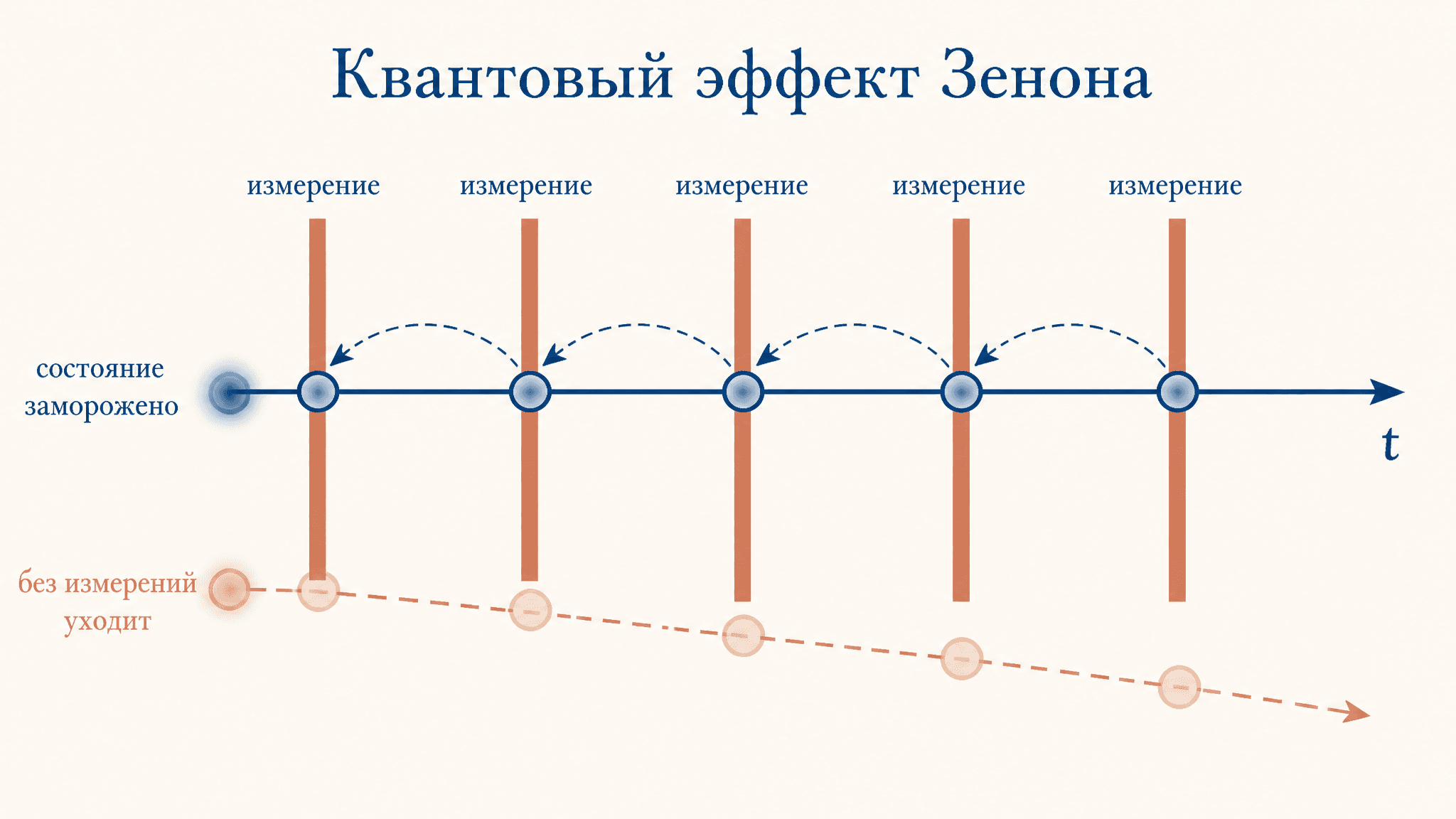 Эффект Зенона квантовый: измерения замораживают систему