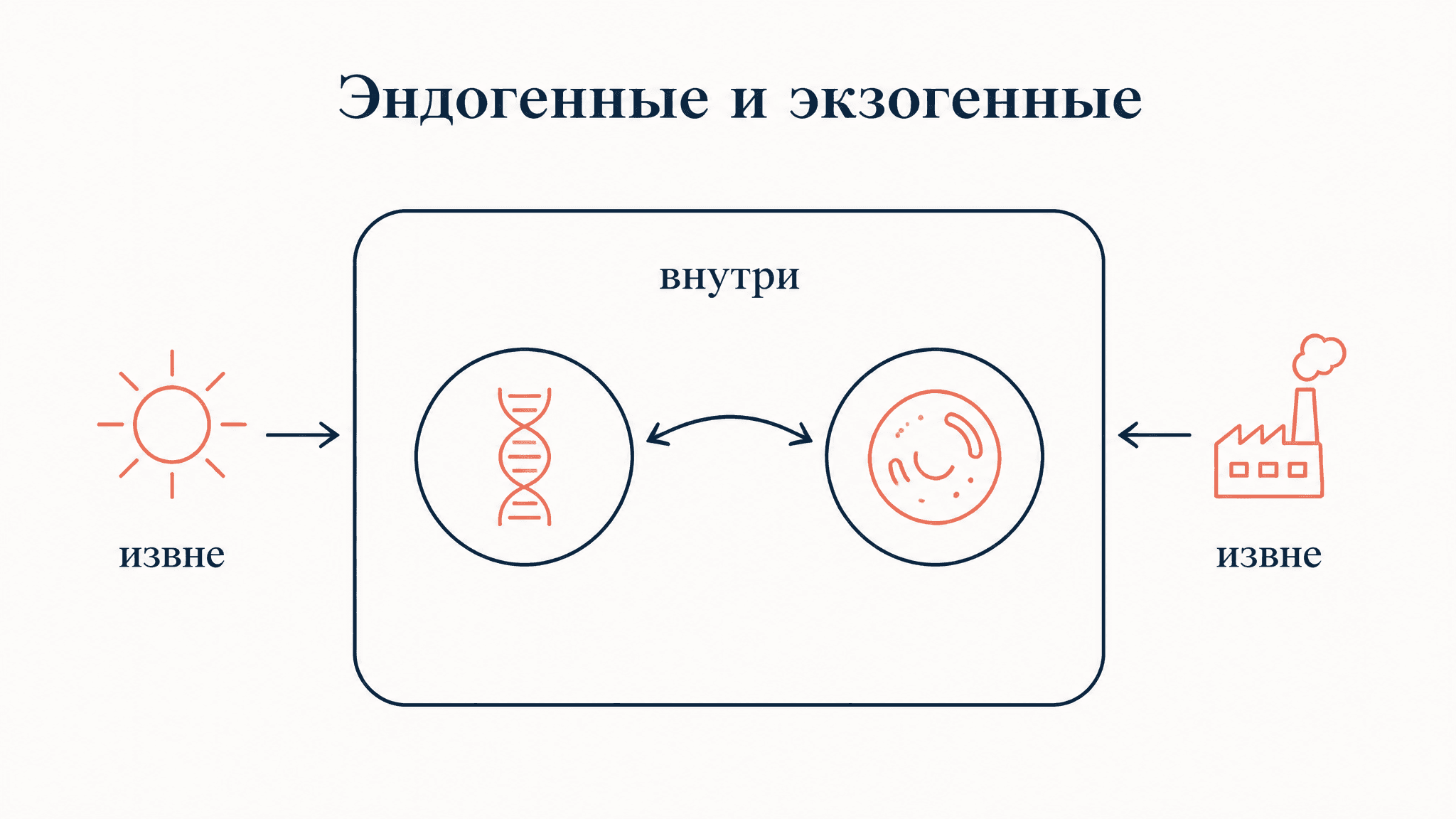 Эндогенные и экзогенные переменные: система уравнений