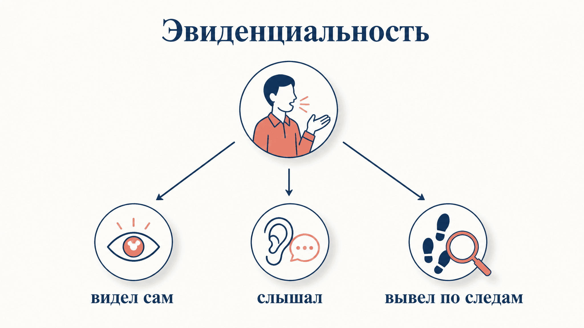 Эвиденциальность в языке: как грамматика указывает источник