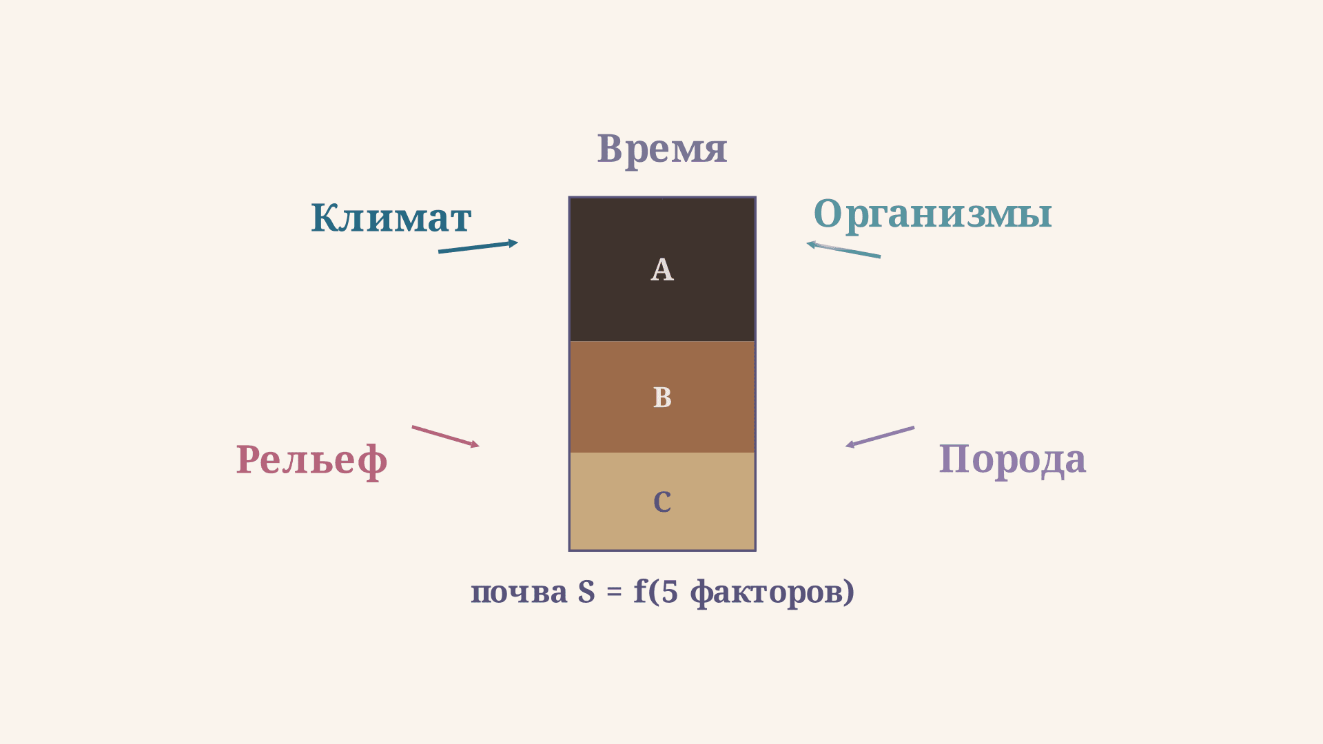 Факторы почвообразования Докучаева: пять условий