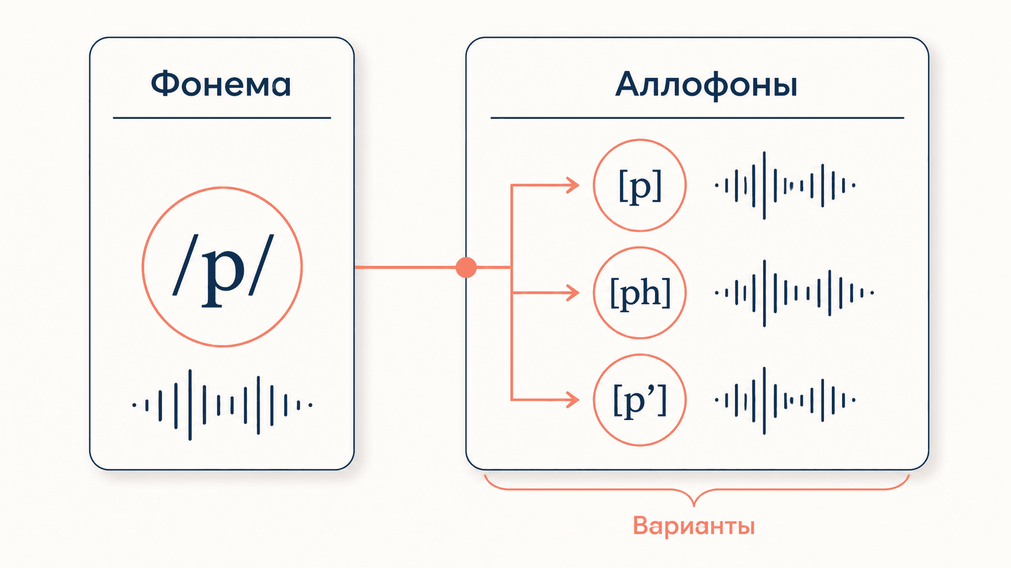 Фонема и аллофон: в чем различие двух понятий