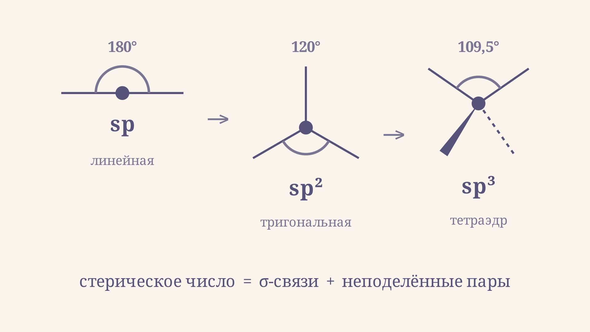 Гибридизация sp, sp², sp³: как определить