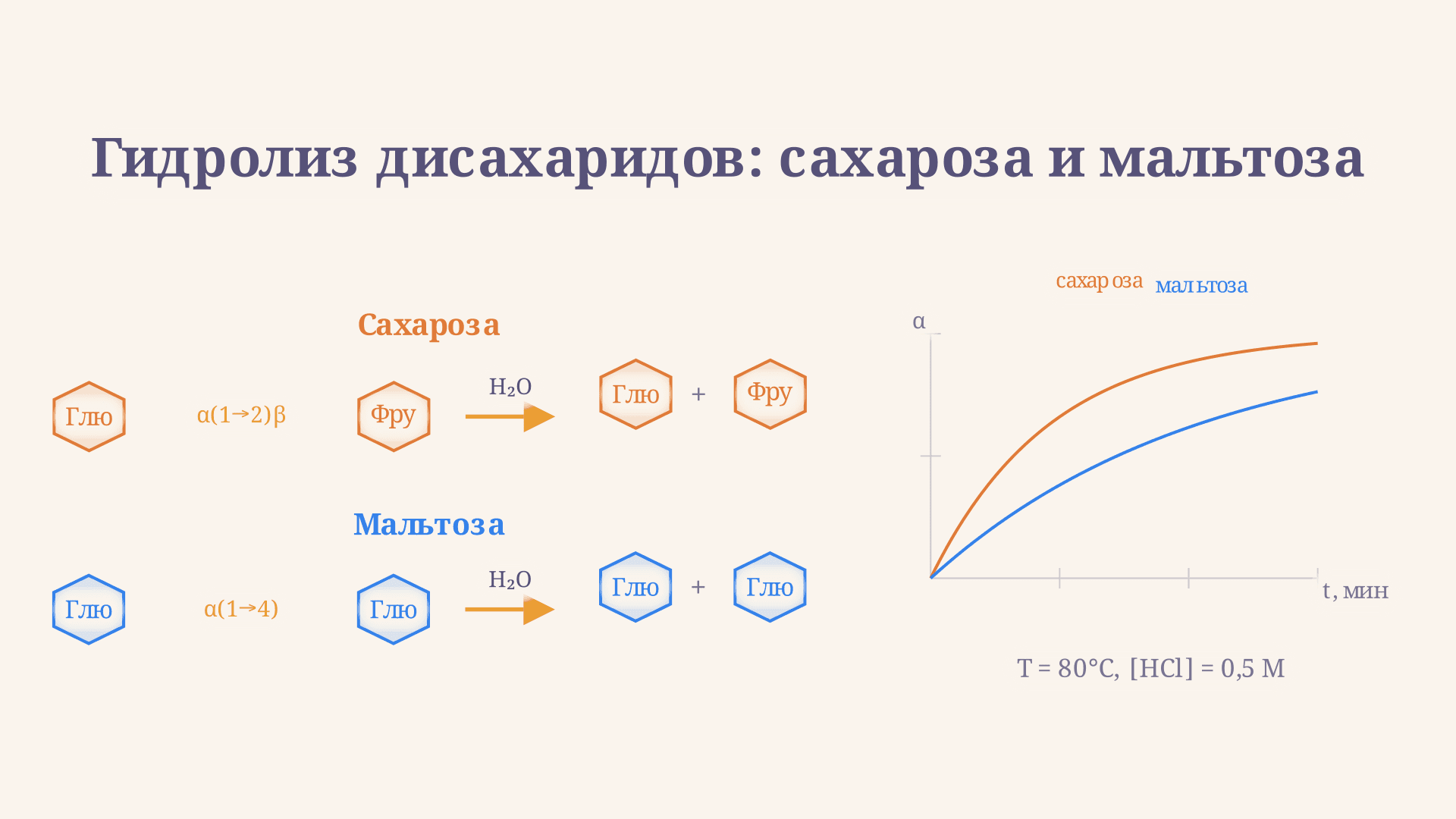 Гидролиз дисахаридов: сахароза и мальтоза