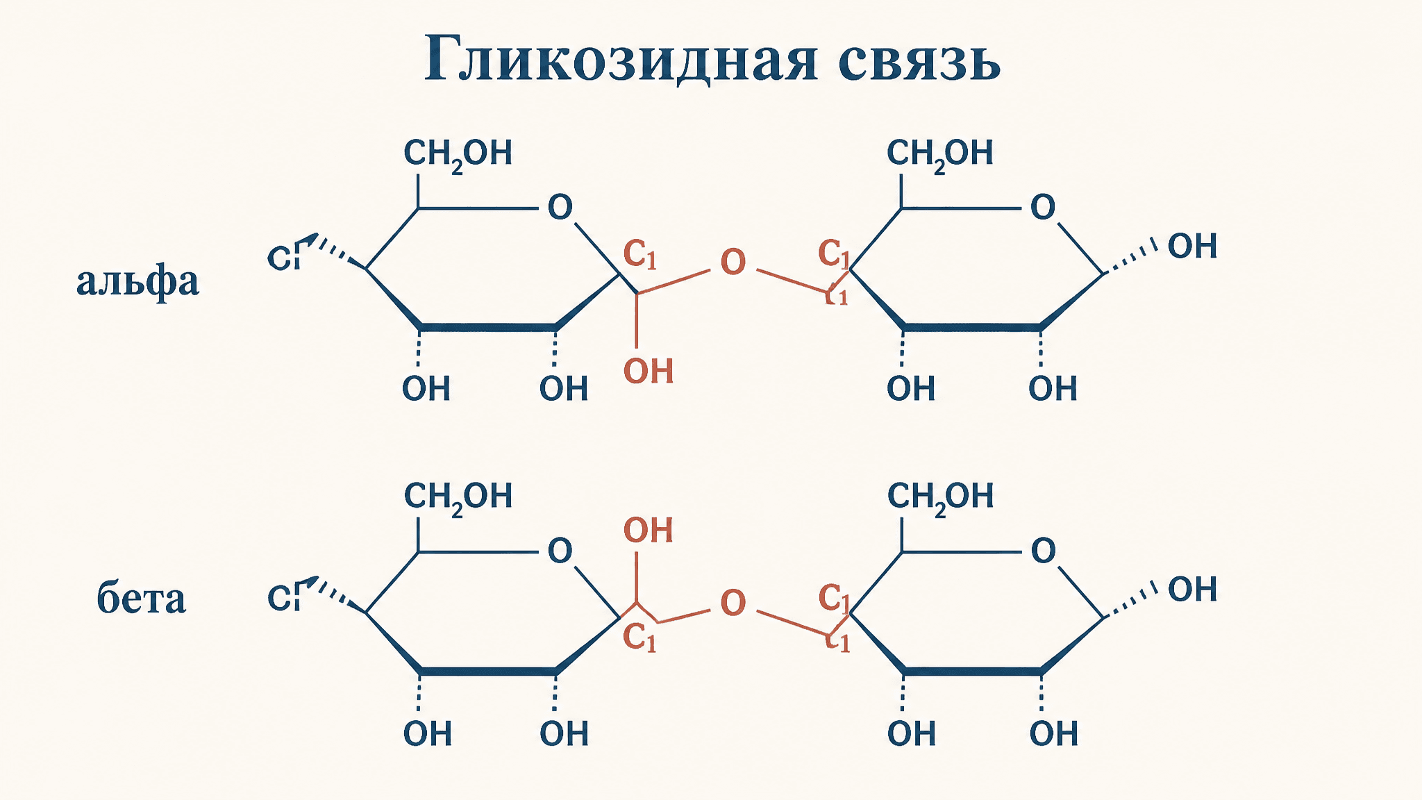 Гликозидная связь: типы и механизм образования
