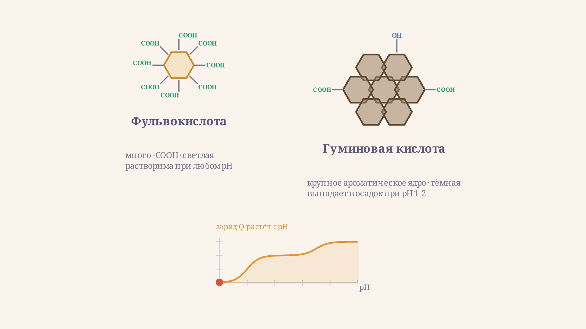 Гуминовые и фульвокислоты: чем отличаются и как считать