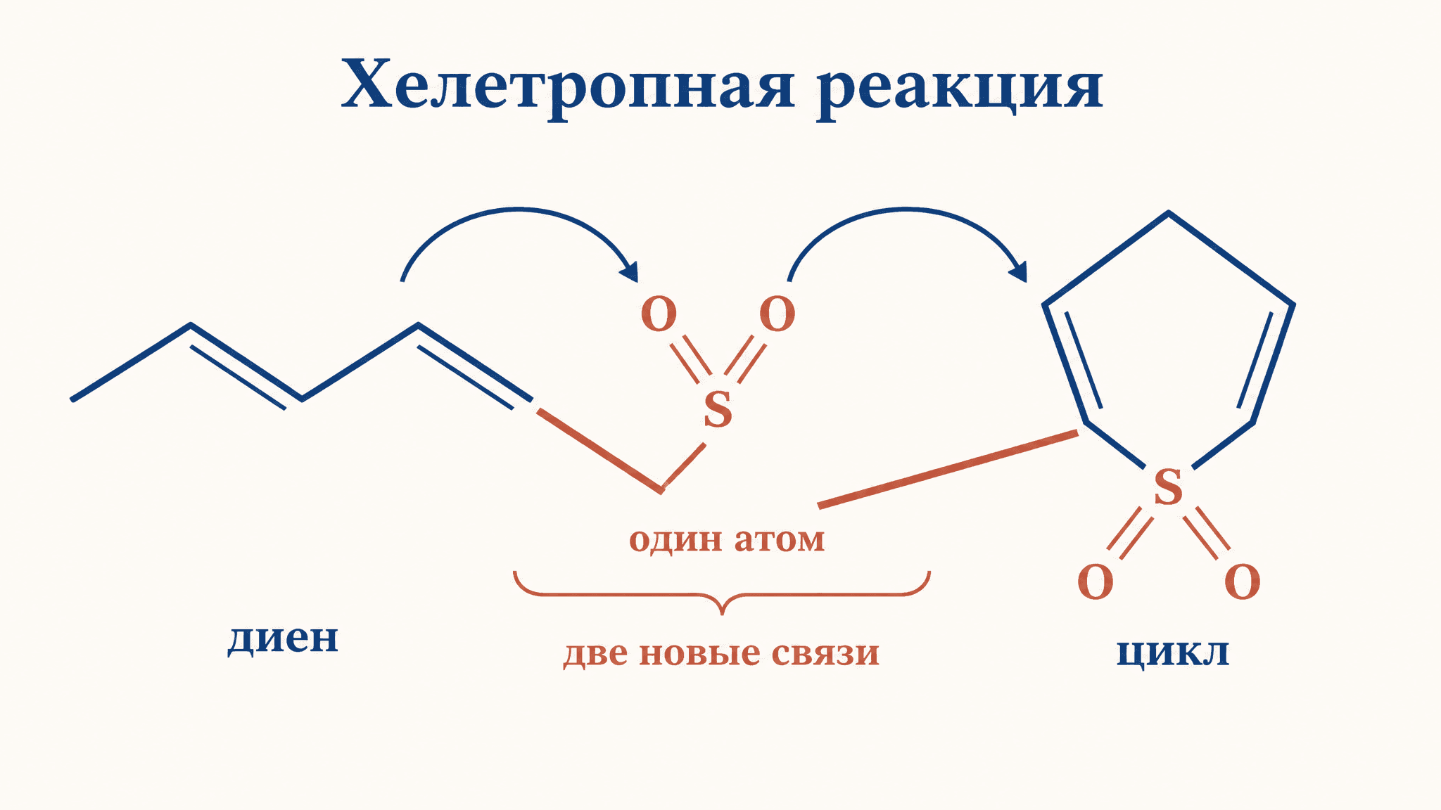 Хелетропные реакции: суть, механизм и примеры