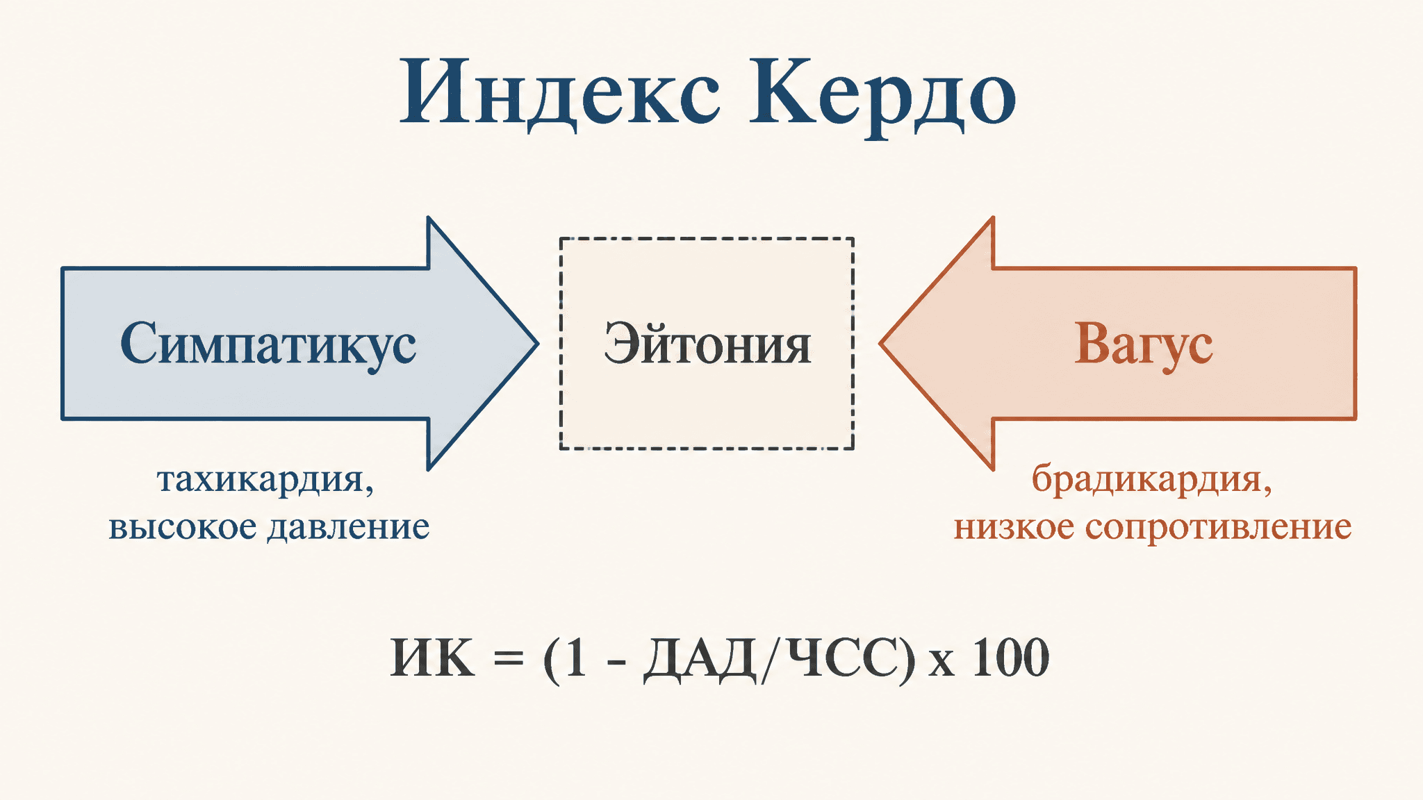Индекс Кердо: вегетативный тонус сердца и сосудов