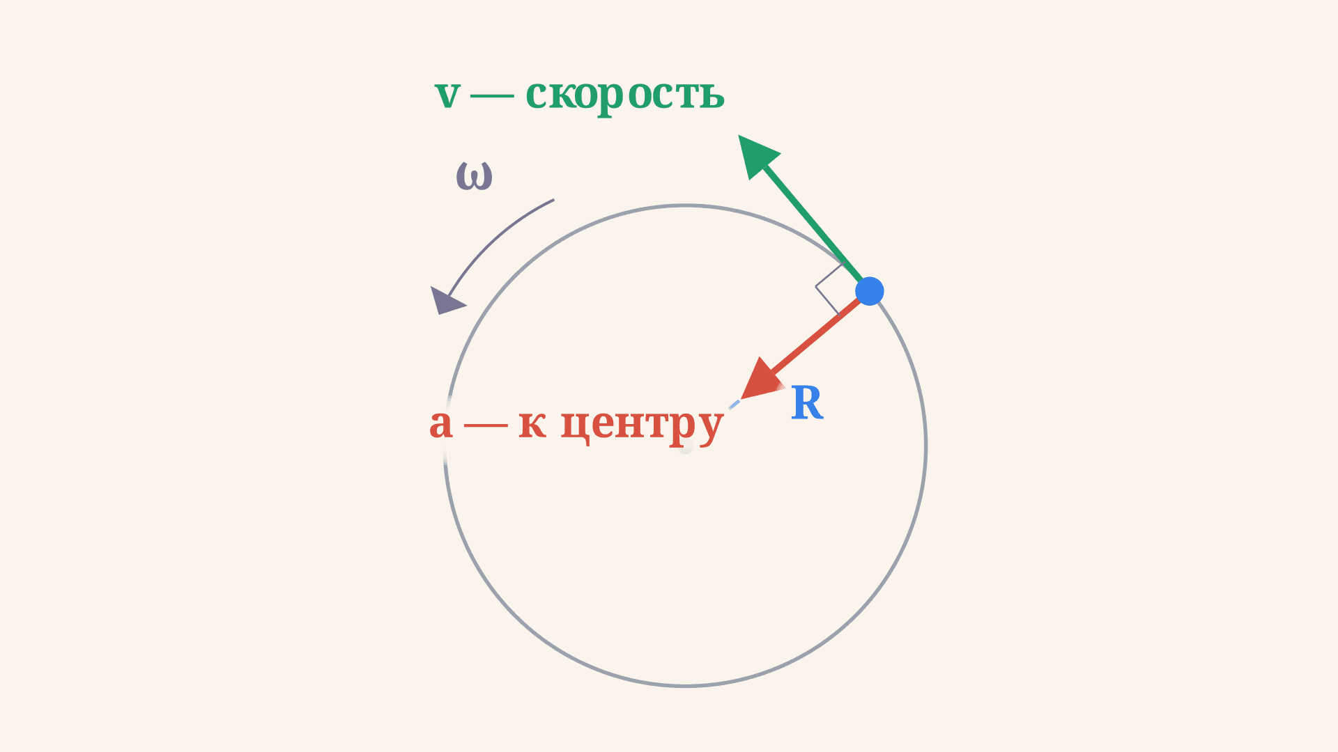 Равномерное движение по окружности: скорость и ускорение