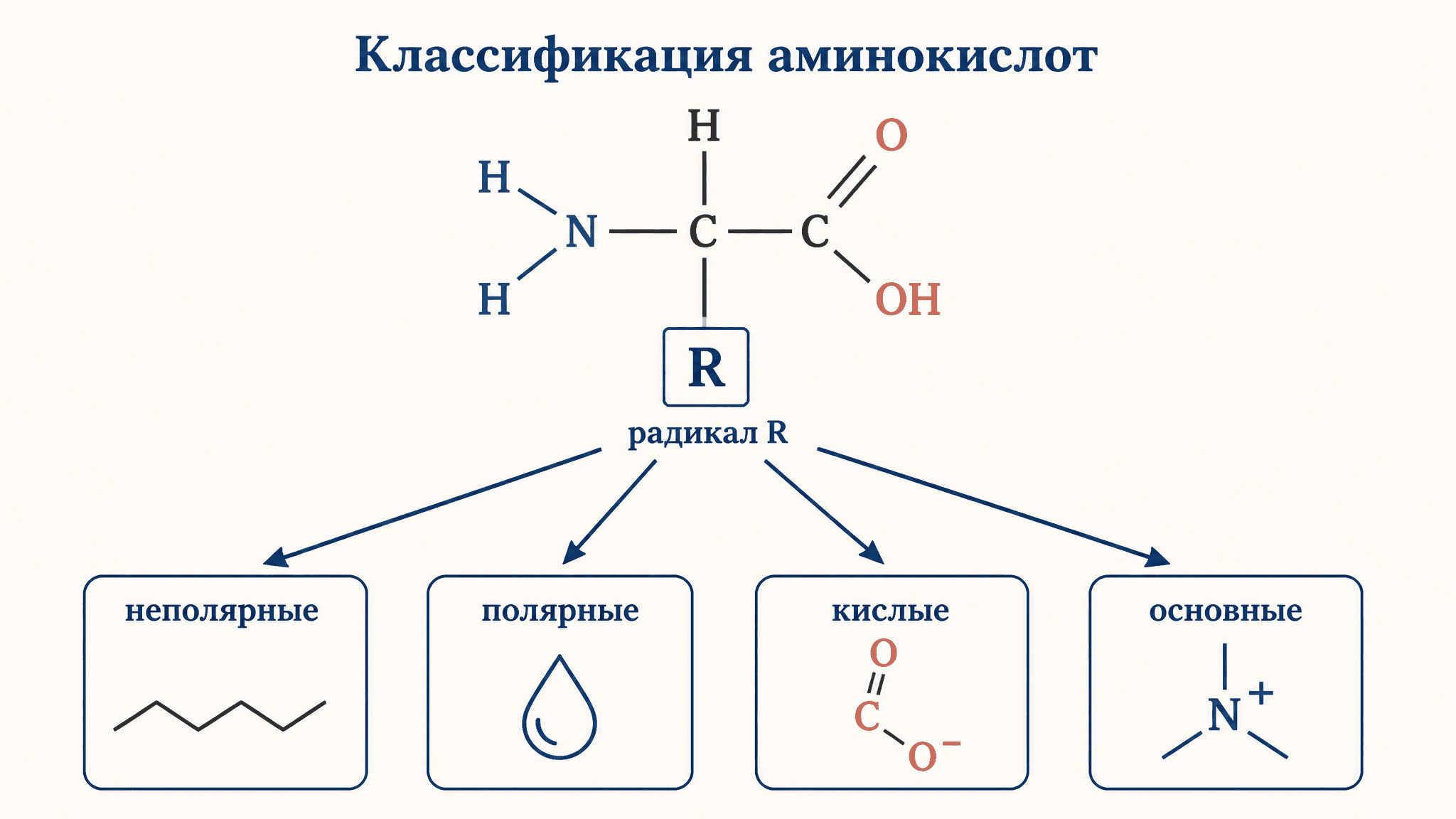 Классификация аминокислот по полярности радикала