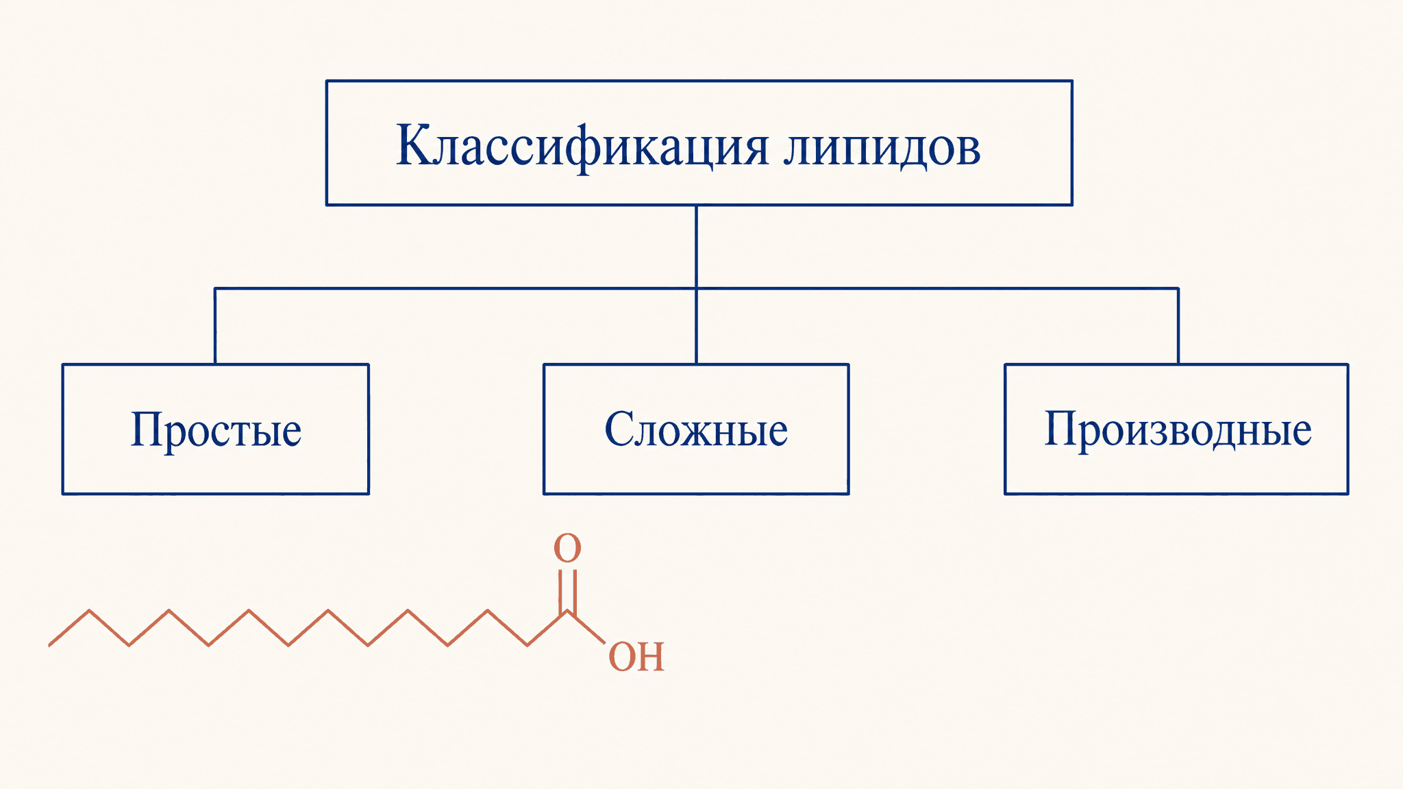 Классификация липидов: структурная схема по строению