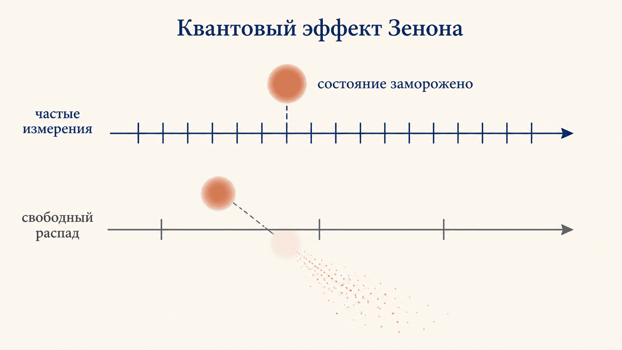 Квантовый эффект Зенона: измерение, что замораживает распад
