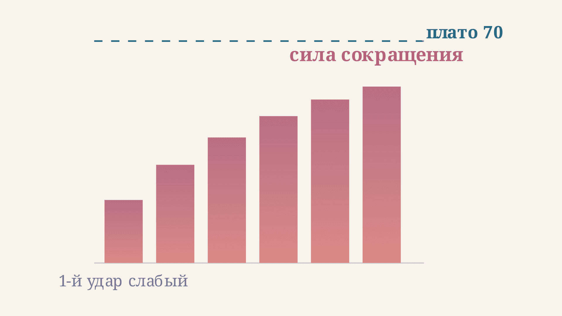 Лестница Боудича: сила сокращения и частота ритма