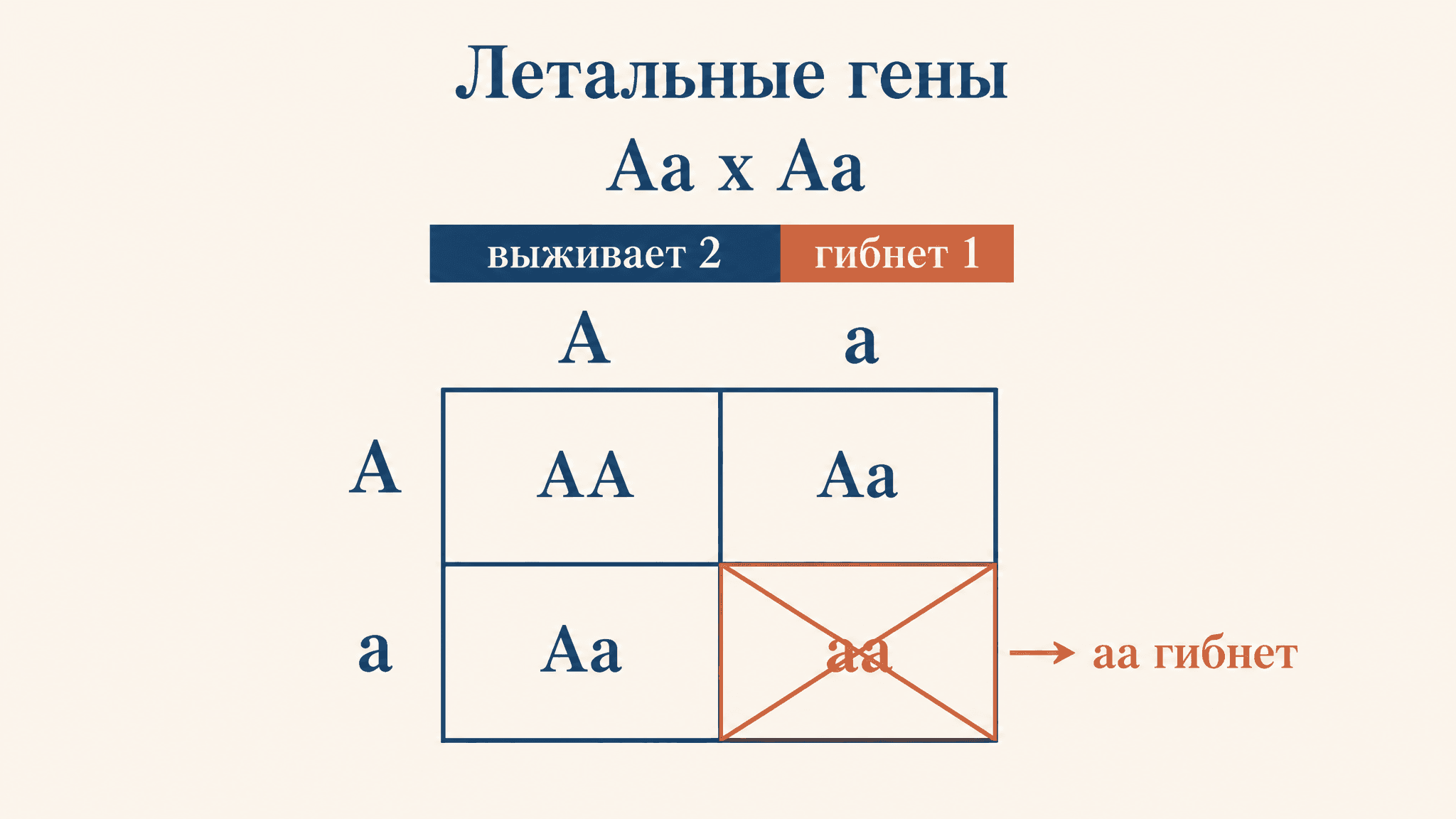 Летальные гены: наследование и расщепление 2:1