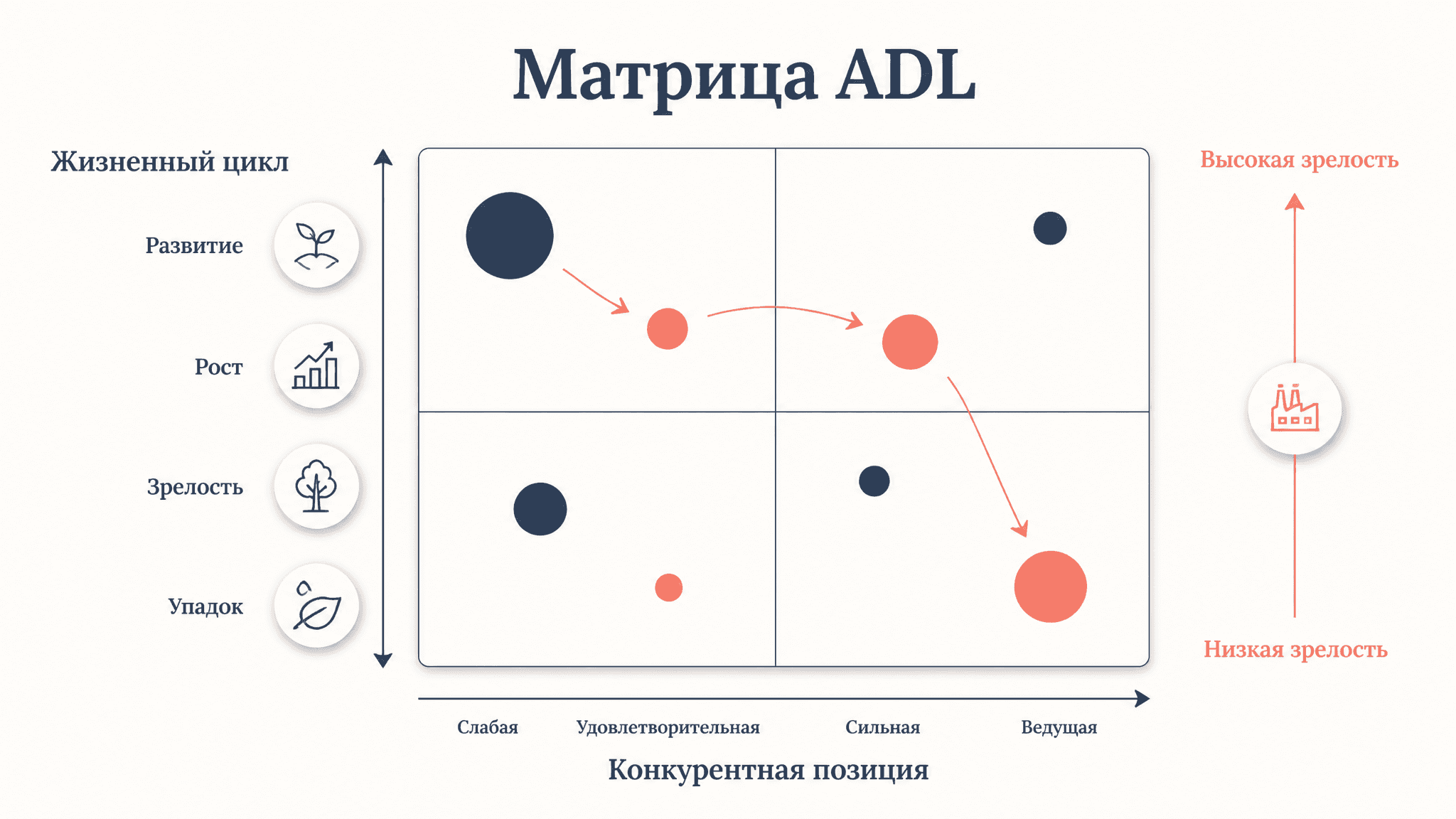 Матрица ADL: жизненный цикл отрасли и выбор стратегии