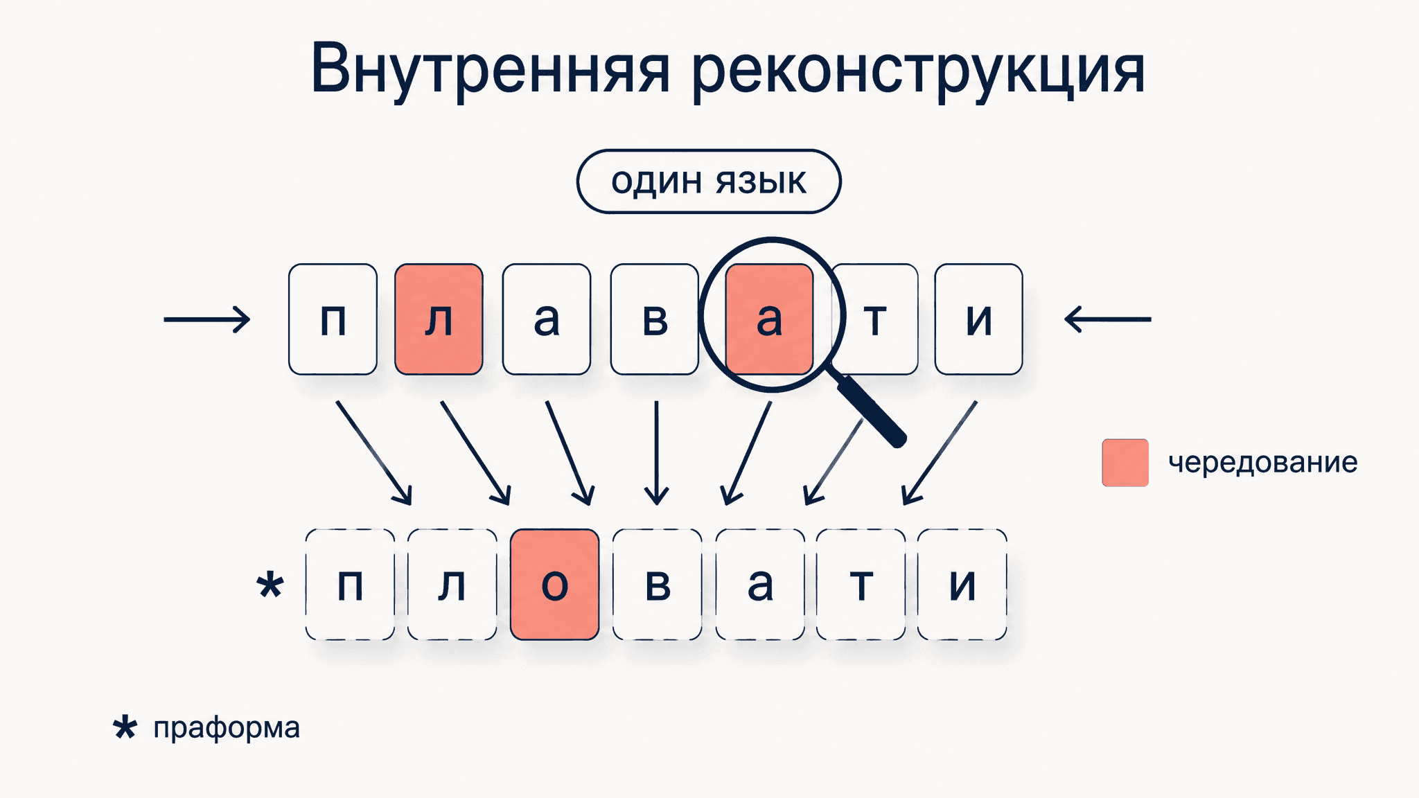 Метод внутренней реконструкции: как восстановить праформу