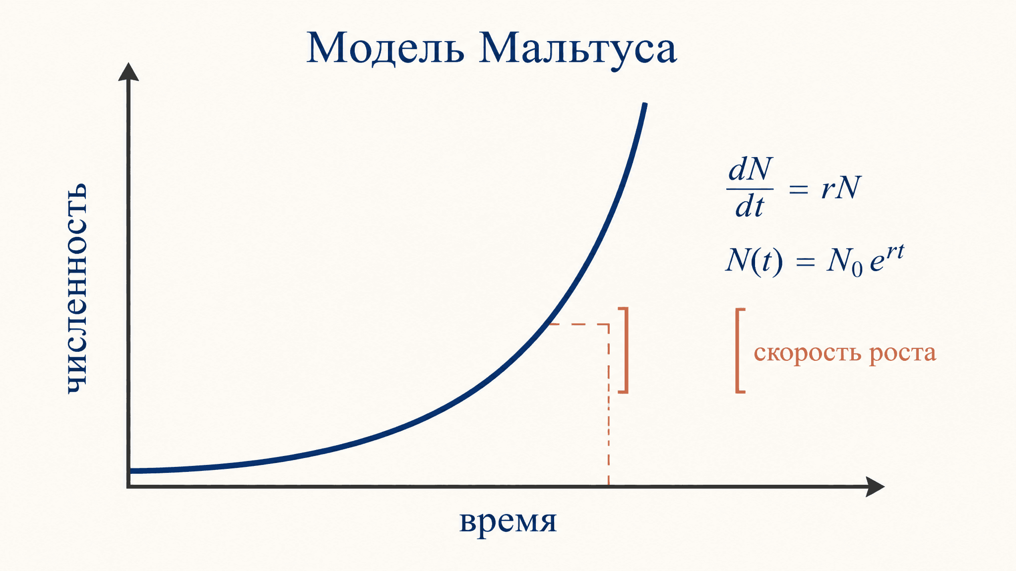 Модель Мальтуса: экспоненциальный рост популяции