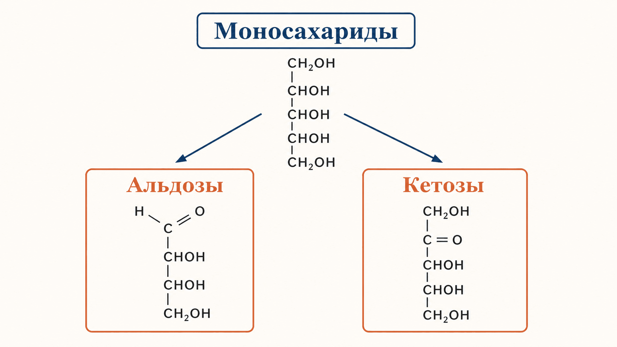 Моносахариды: классификация на альдозы и кетозы