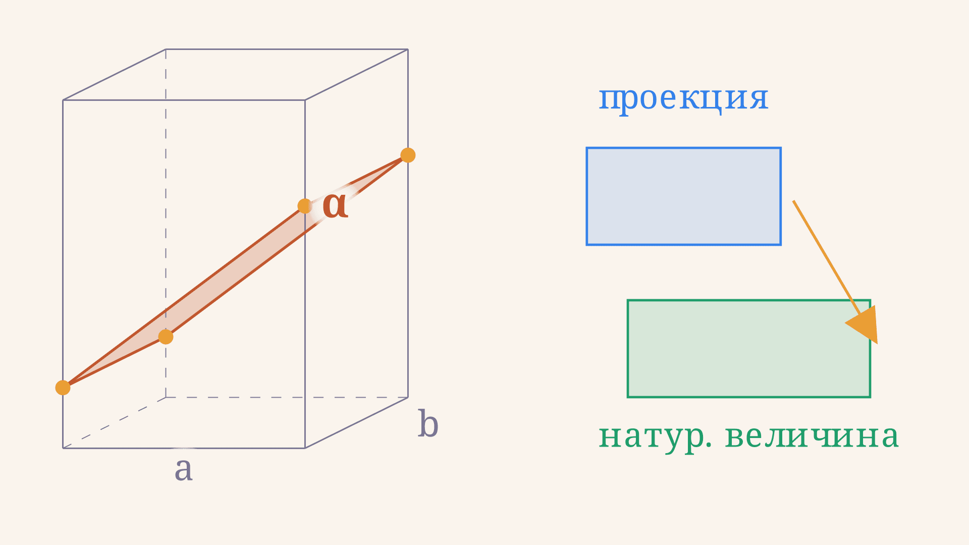 Натуральная величина сечения многогранника плоскостью
