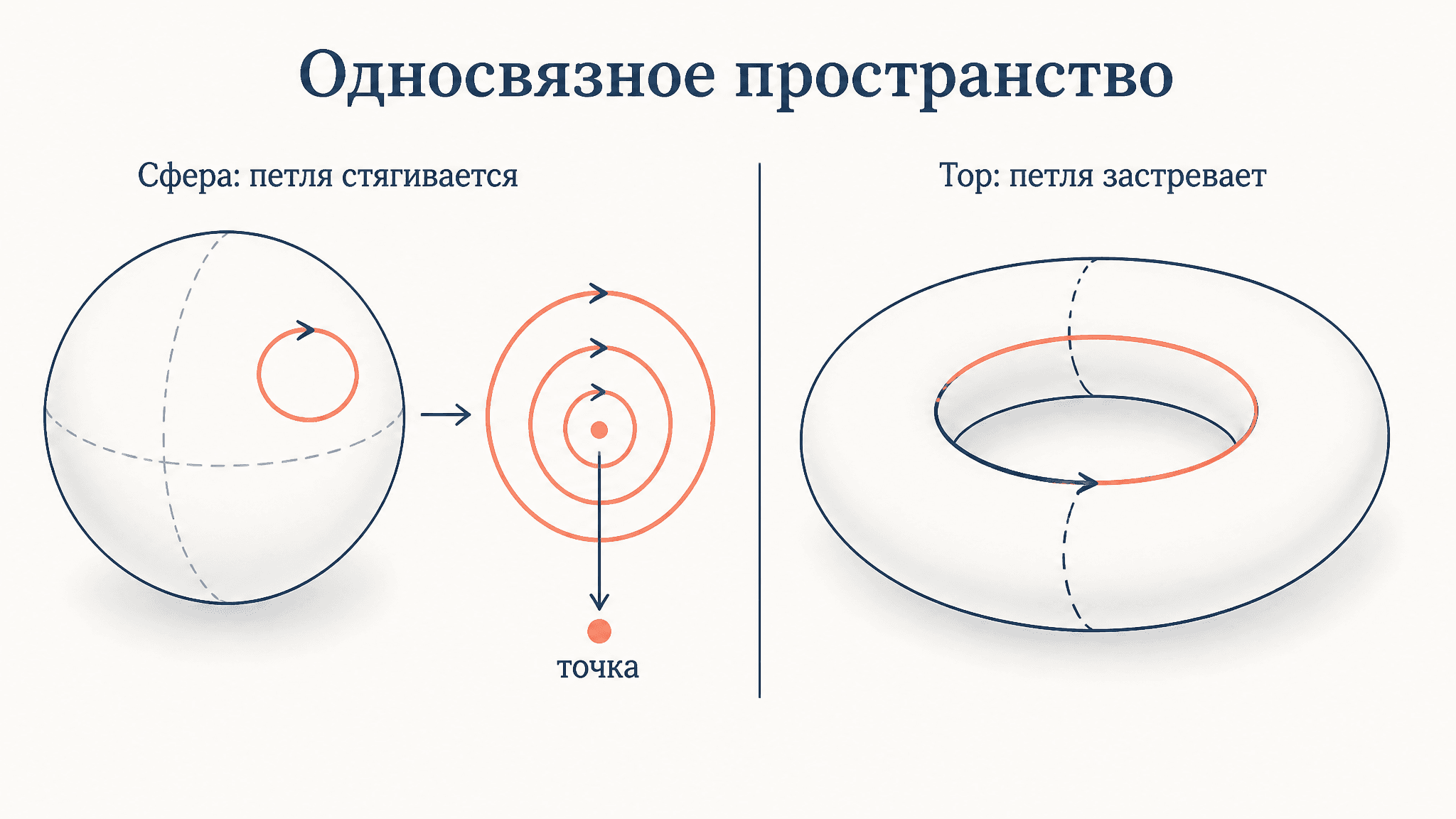 Односвязное пространство: определение и проверка через петли