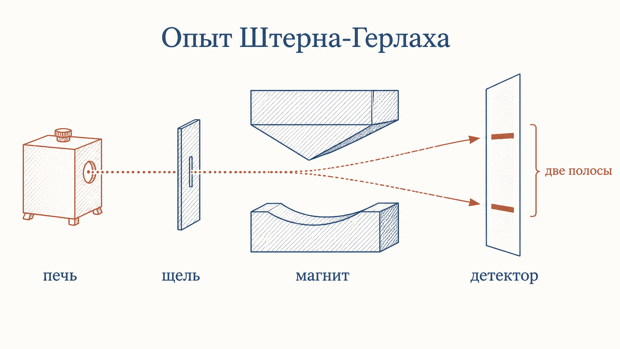 Опыт Штерна-Герлаха: как пучок атомов доказал спин электрона