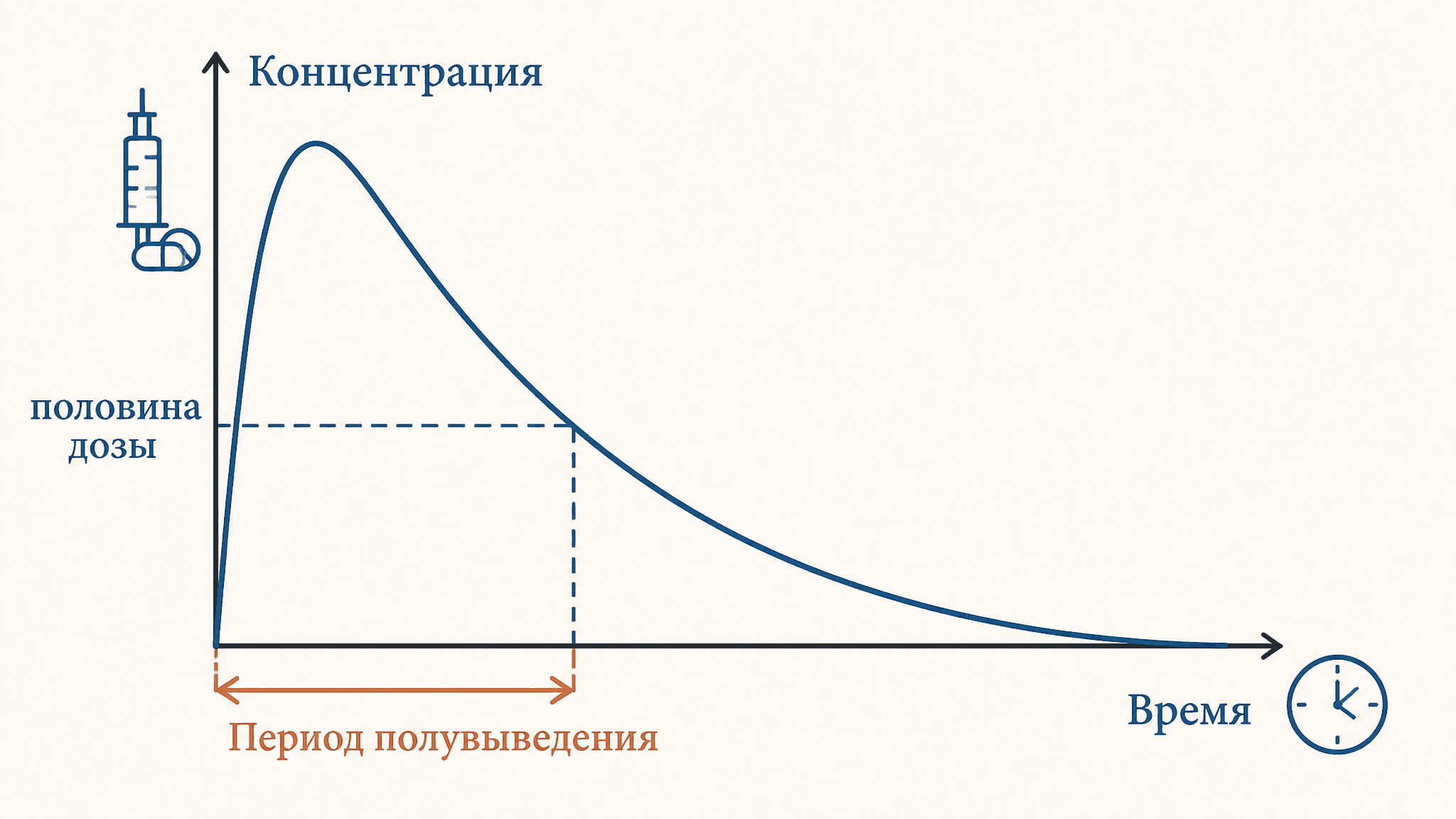 Период полувыведения: фармакокинетика простыми формулами