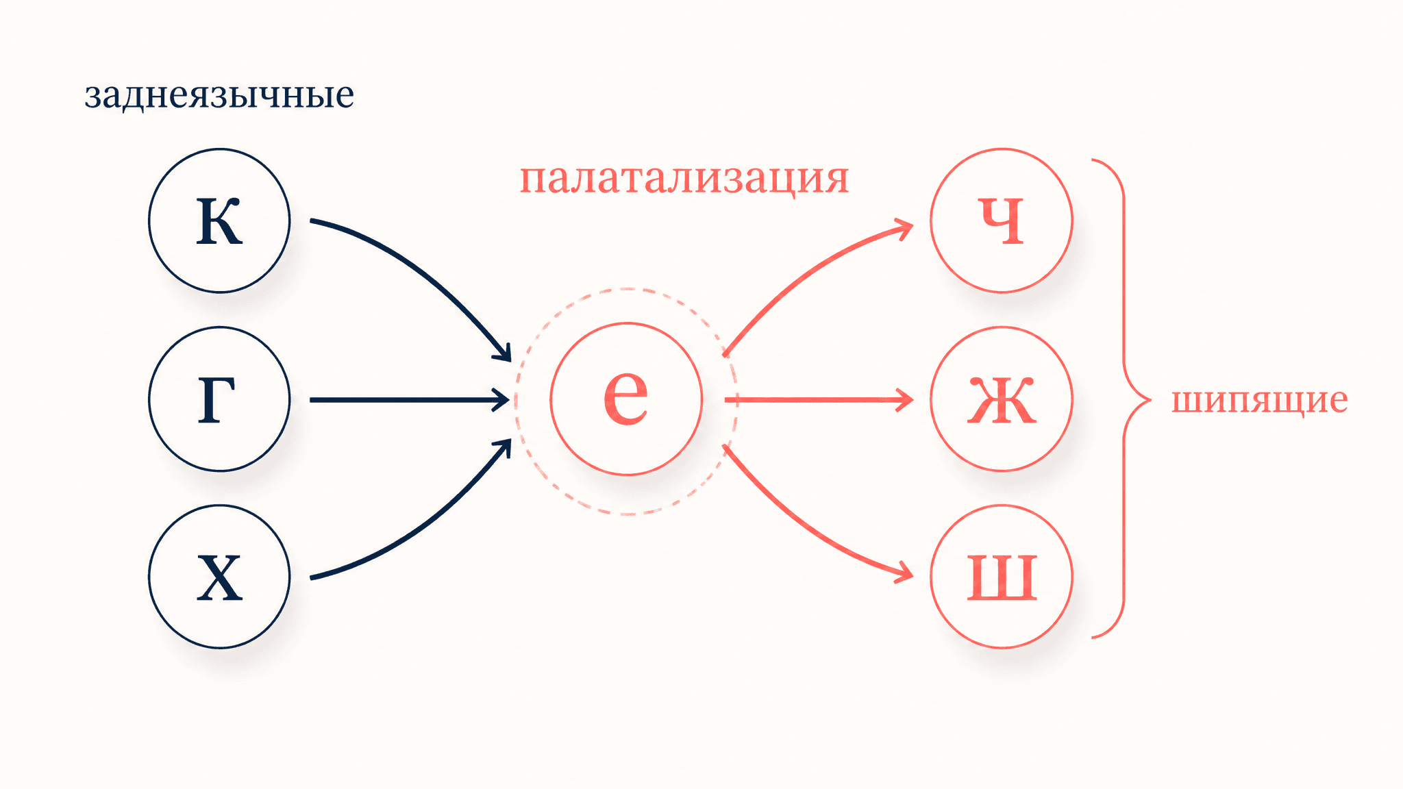 Первая палатализация заднеязычных: механизм и примеры