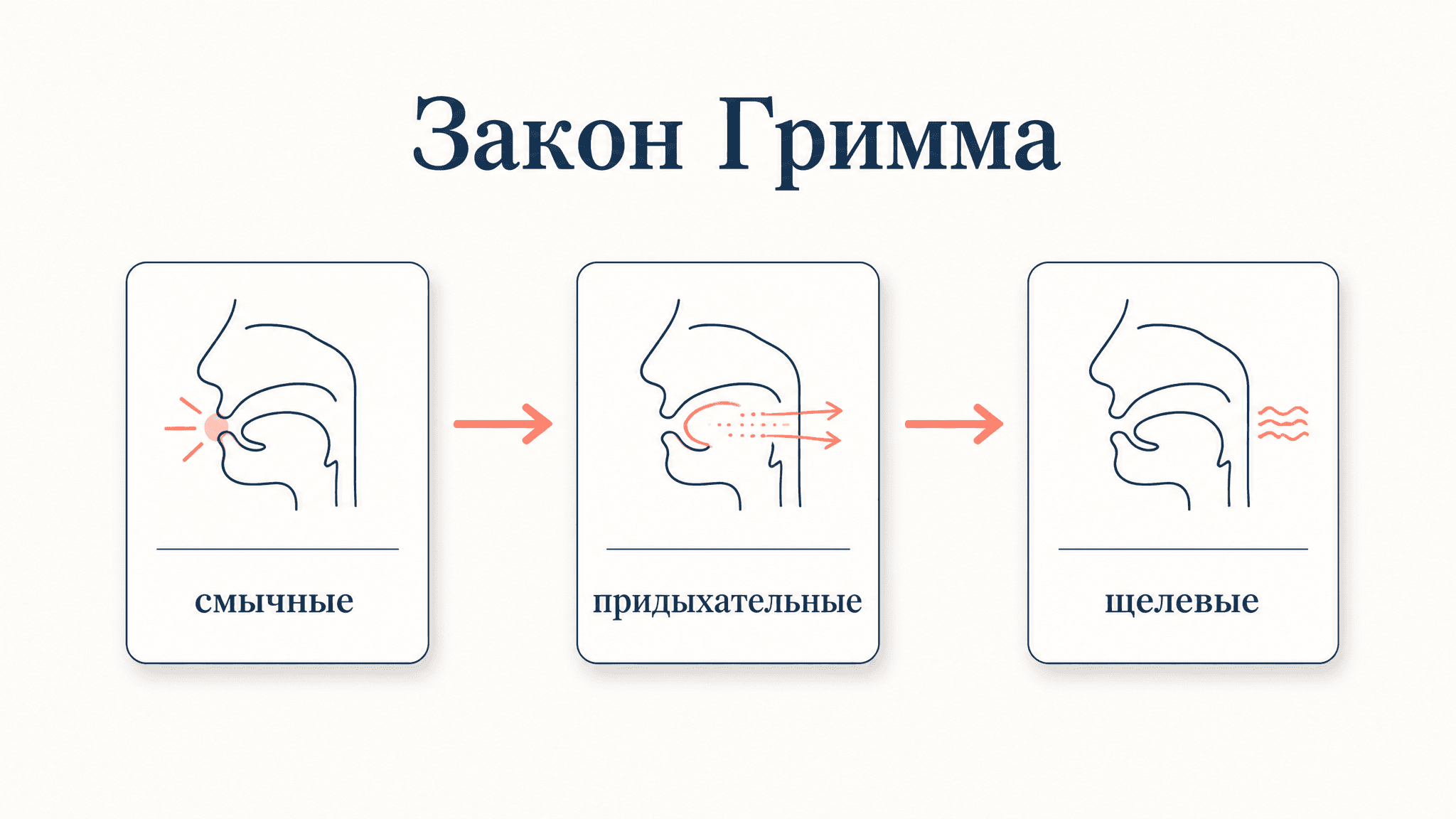 Первое передвижение согласных: закон Гримма простыми словами