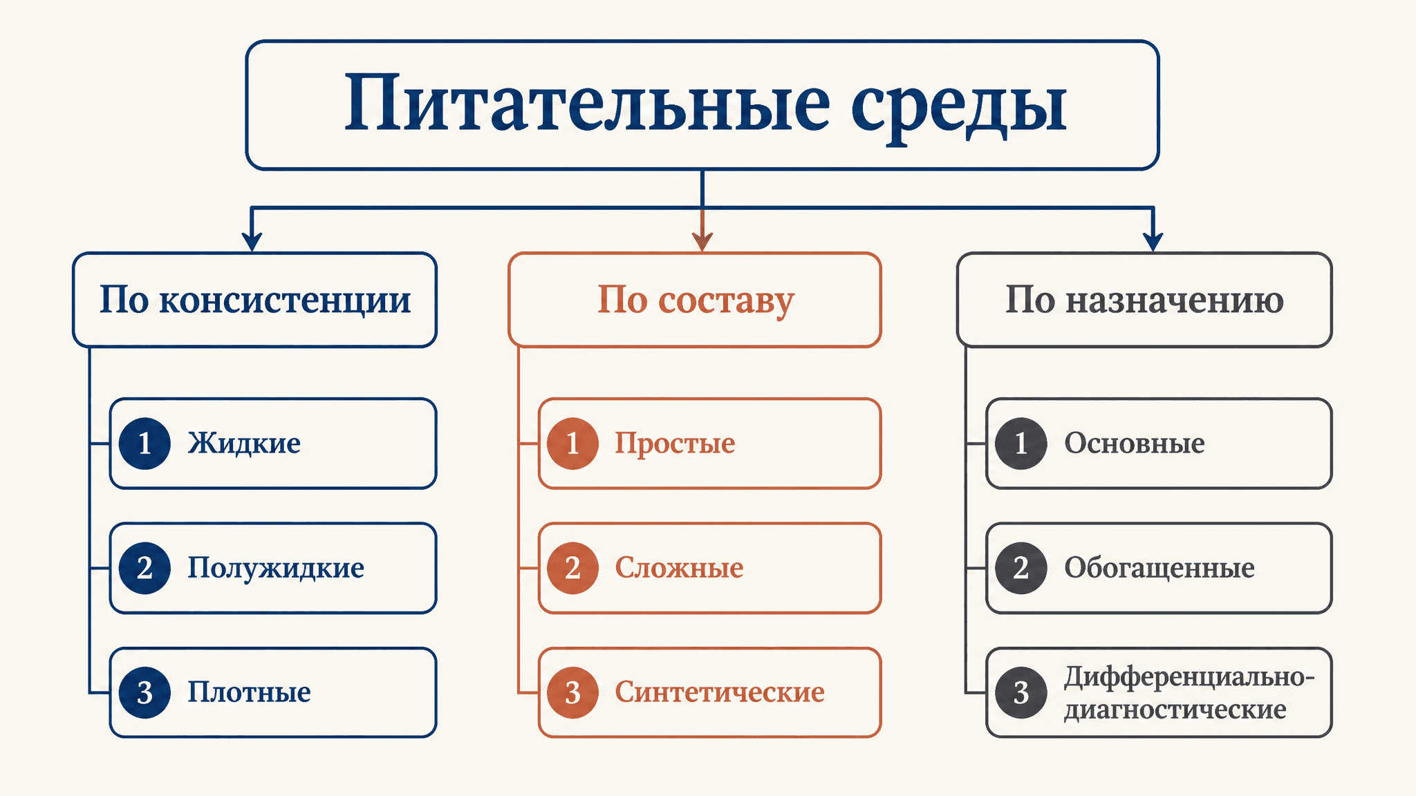Питательные среды: классификация и состав в микробиологии