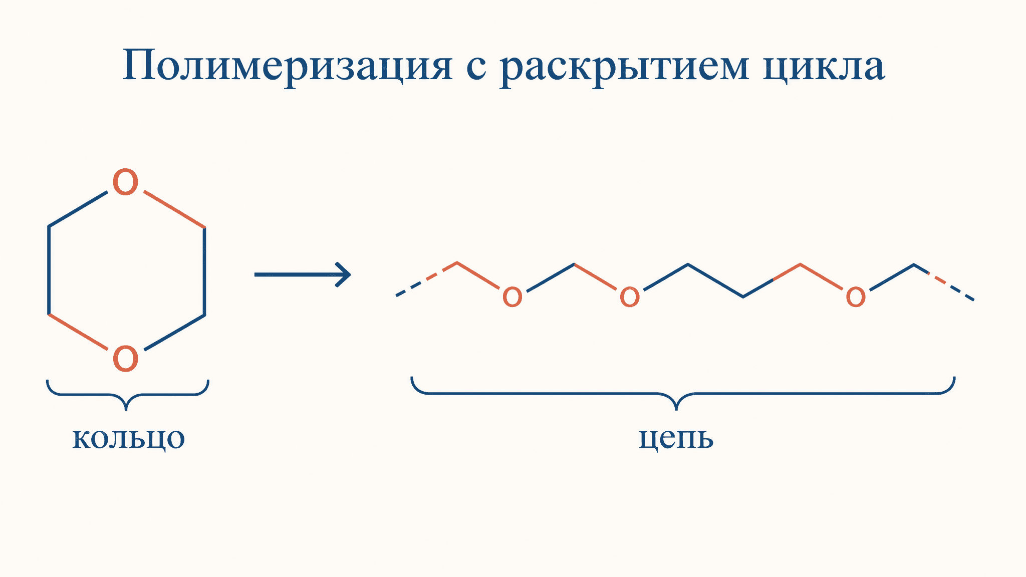Полимеризация с раскрытием цикла: механизм и примеры