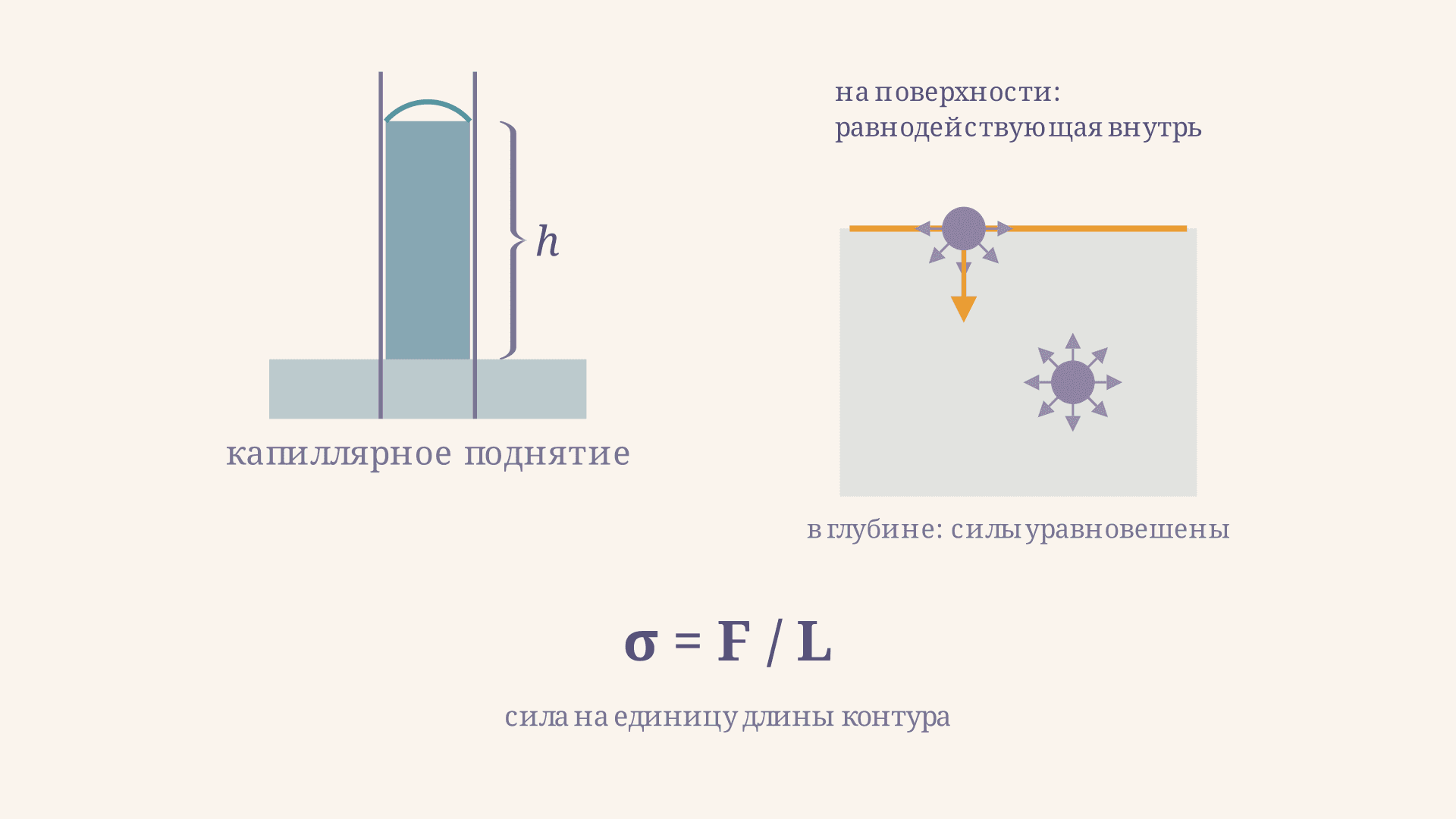 Поверхностное натяжение жидкости: определение и формула