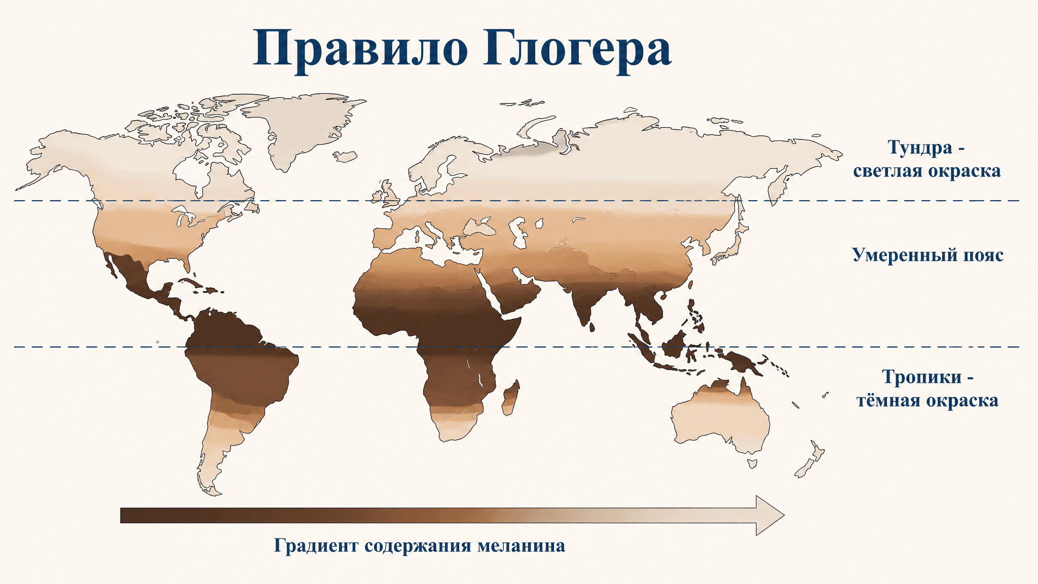Правило Глогера: окраска животных и климат