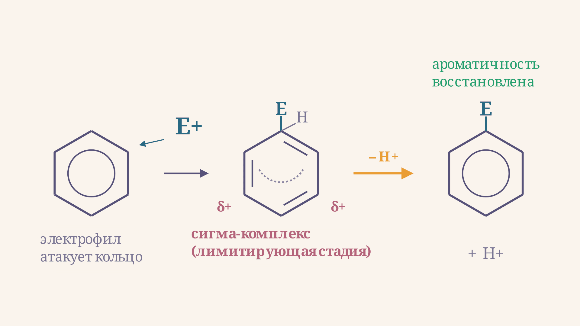 Электрофильное замещение в бензоле: механизм и правила