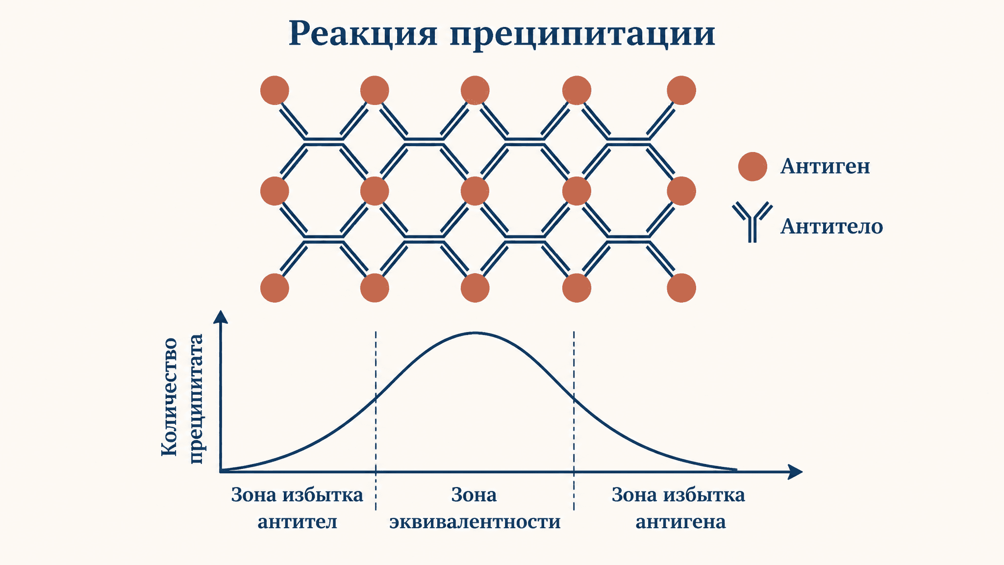Реакция преципитации: механизм и постановка