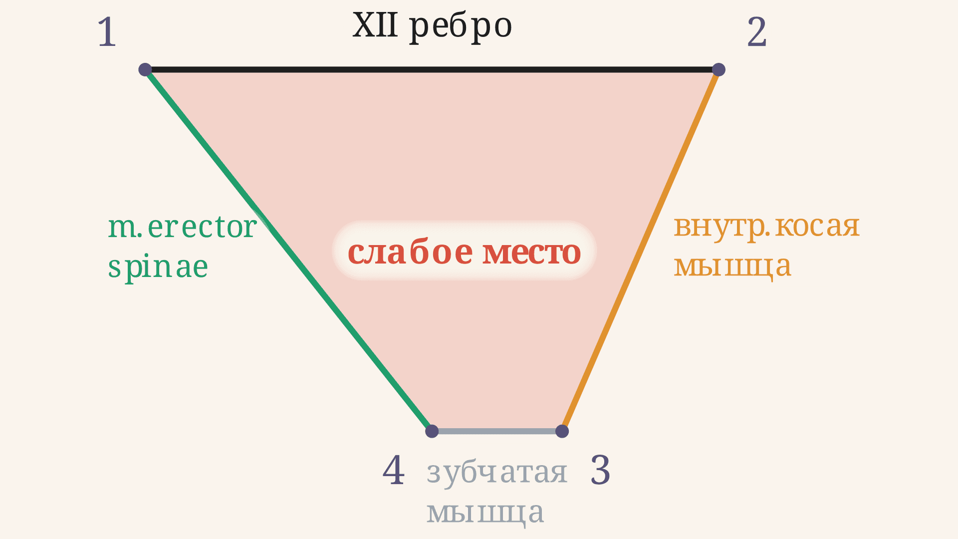 Ромб Лесгафта-Грюнфельда: границы и слабое место стенки