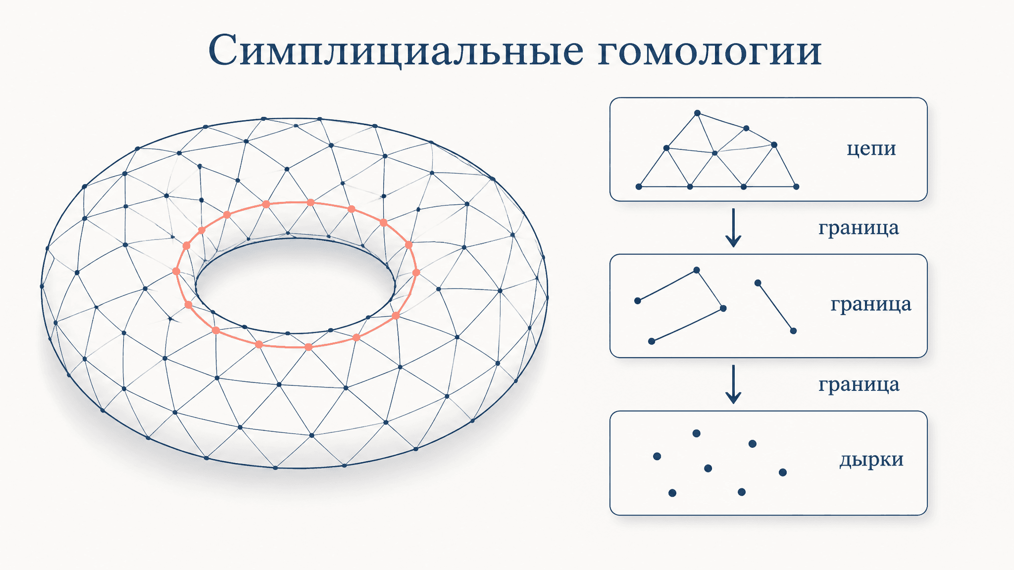 Симплициальные гомологии: считаем дырки комплекса