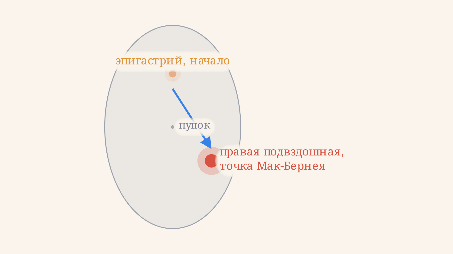 Симптом Кохера при аппендиците: что это и как оценивают