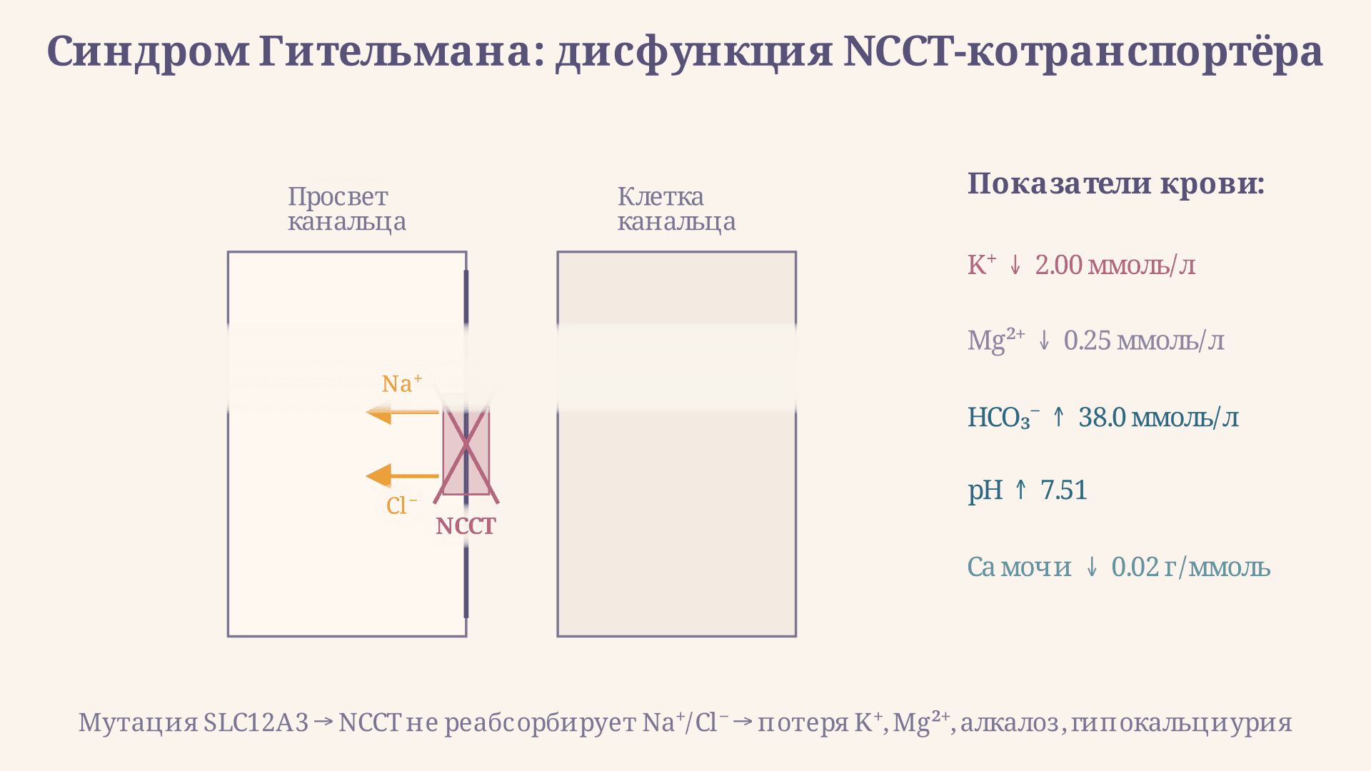 Синдром Гительмана: причины, диагностика и лечение