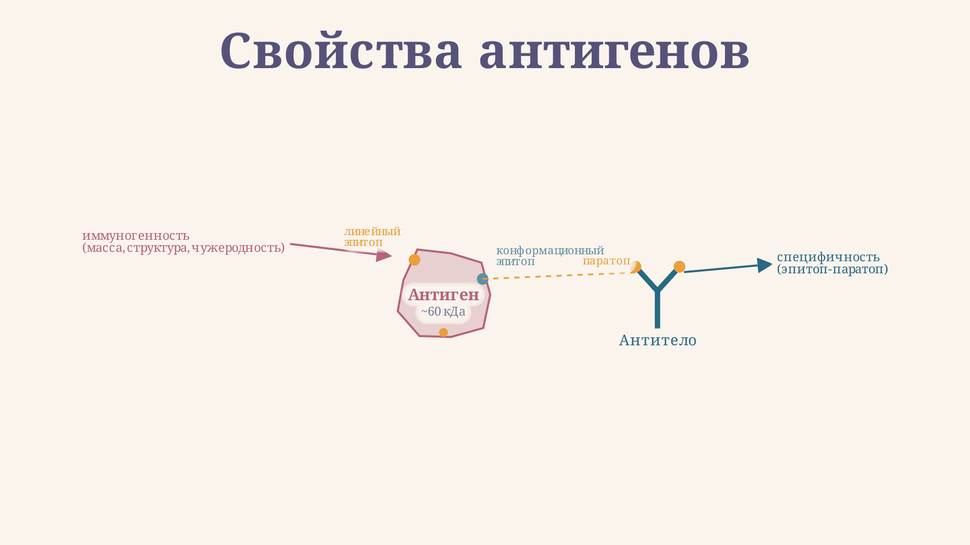 Свойства антигенов: иммуногенность и специфичность