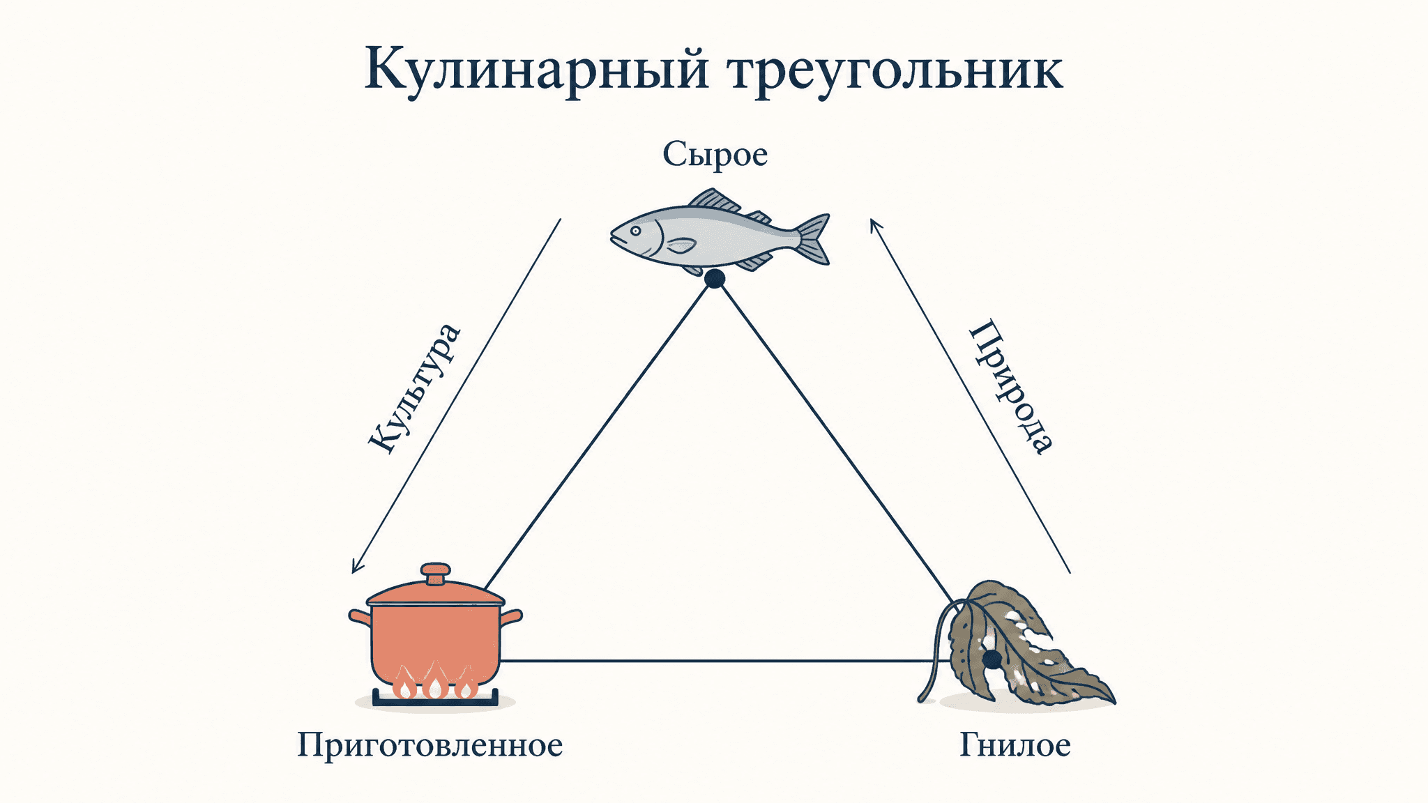 Сырое и приготовленное Леви-Стросса: кулинарный треугольник