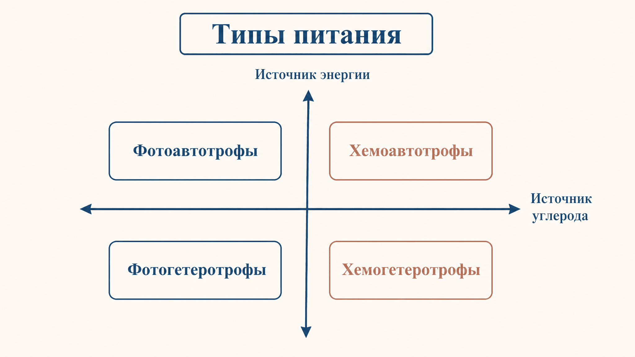 Типы питания бактерий: классификация по источникам